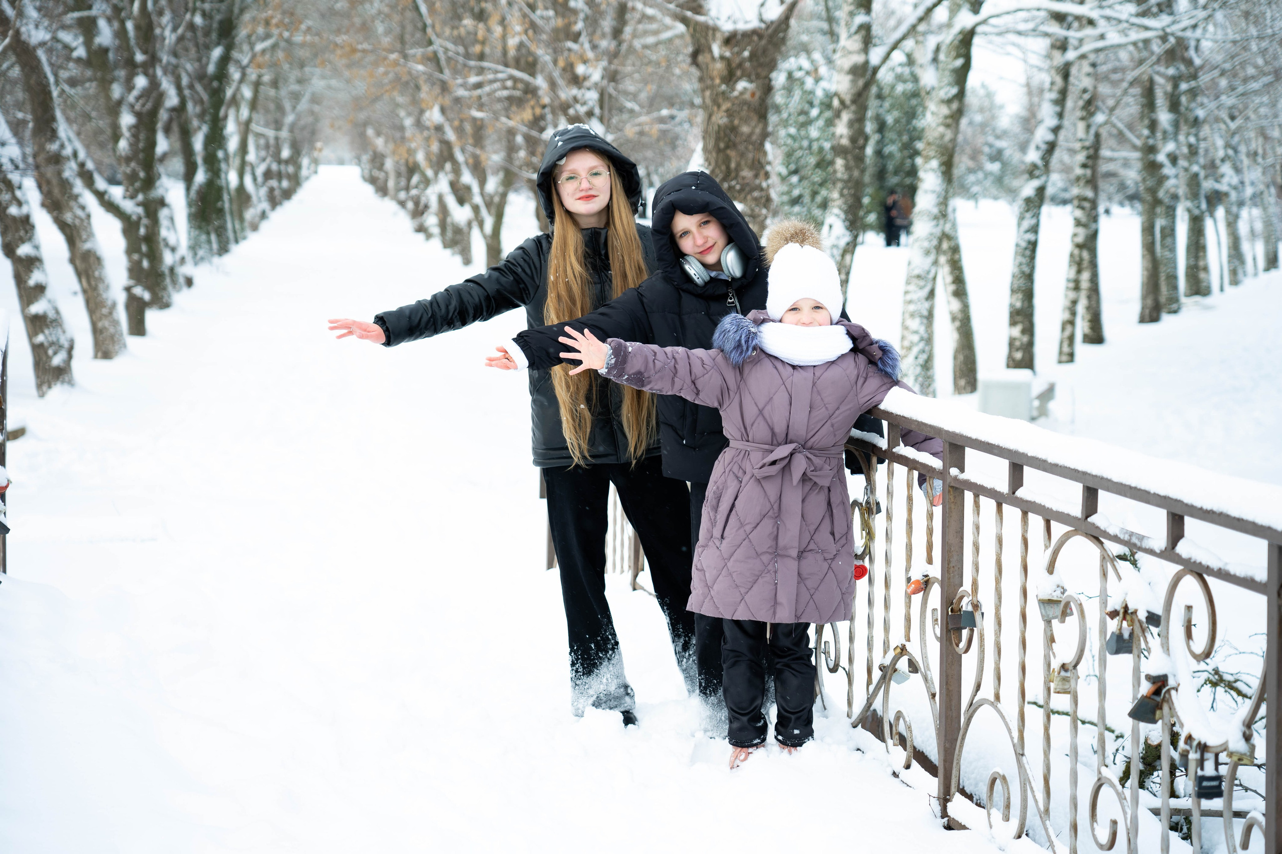 Зимняя прогулка