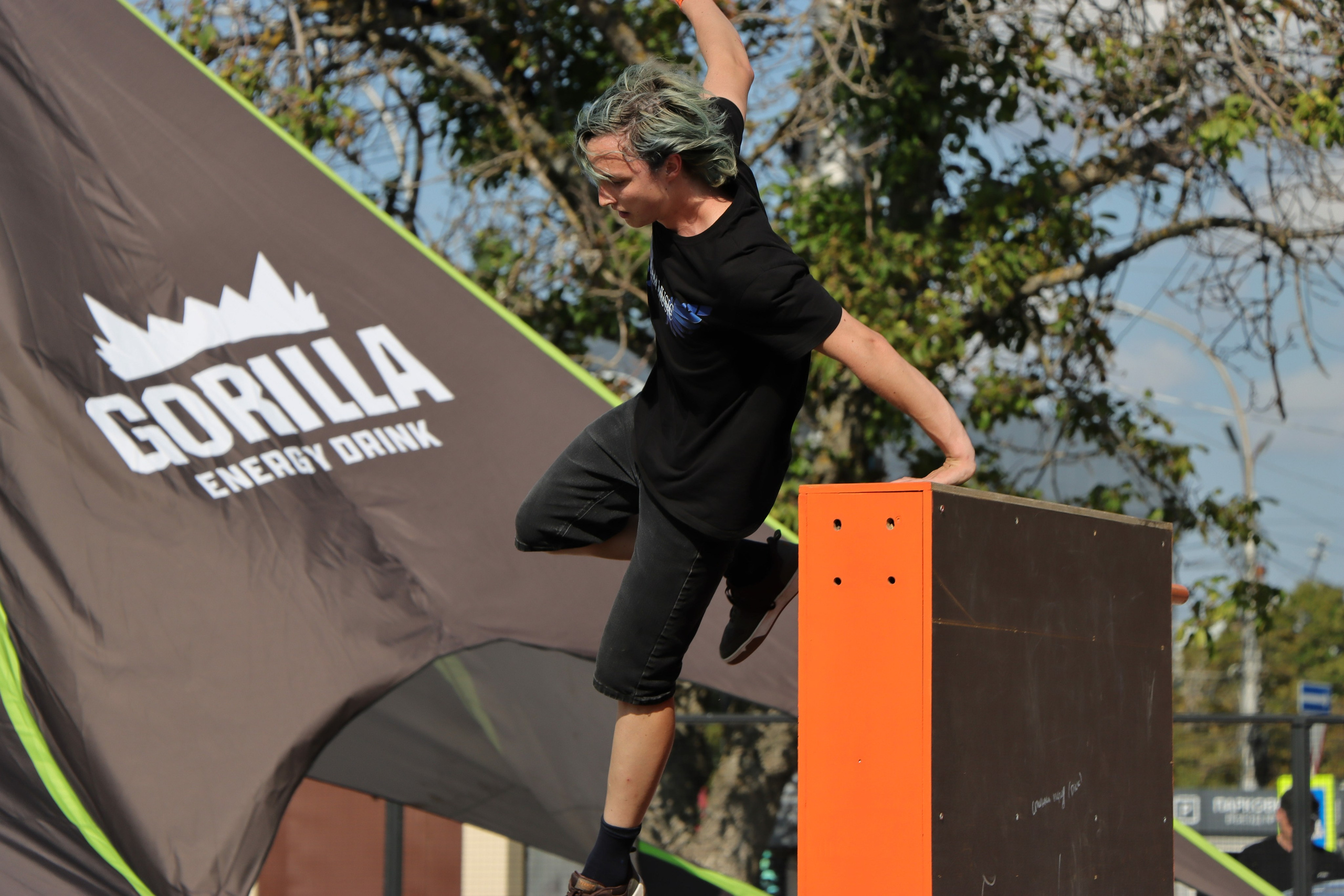 Фестиваль КАРДО