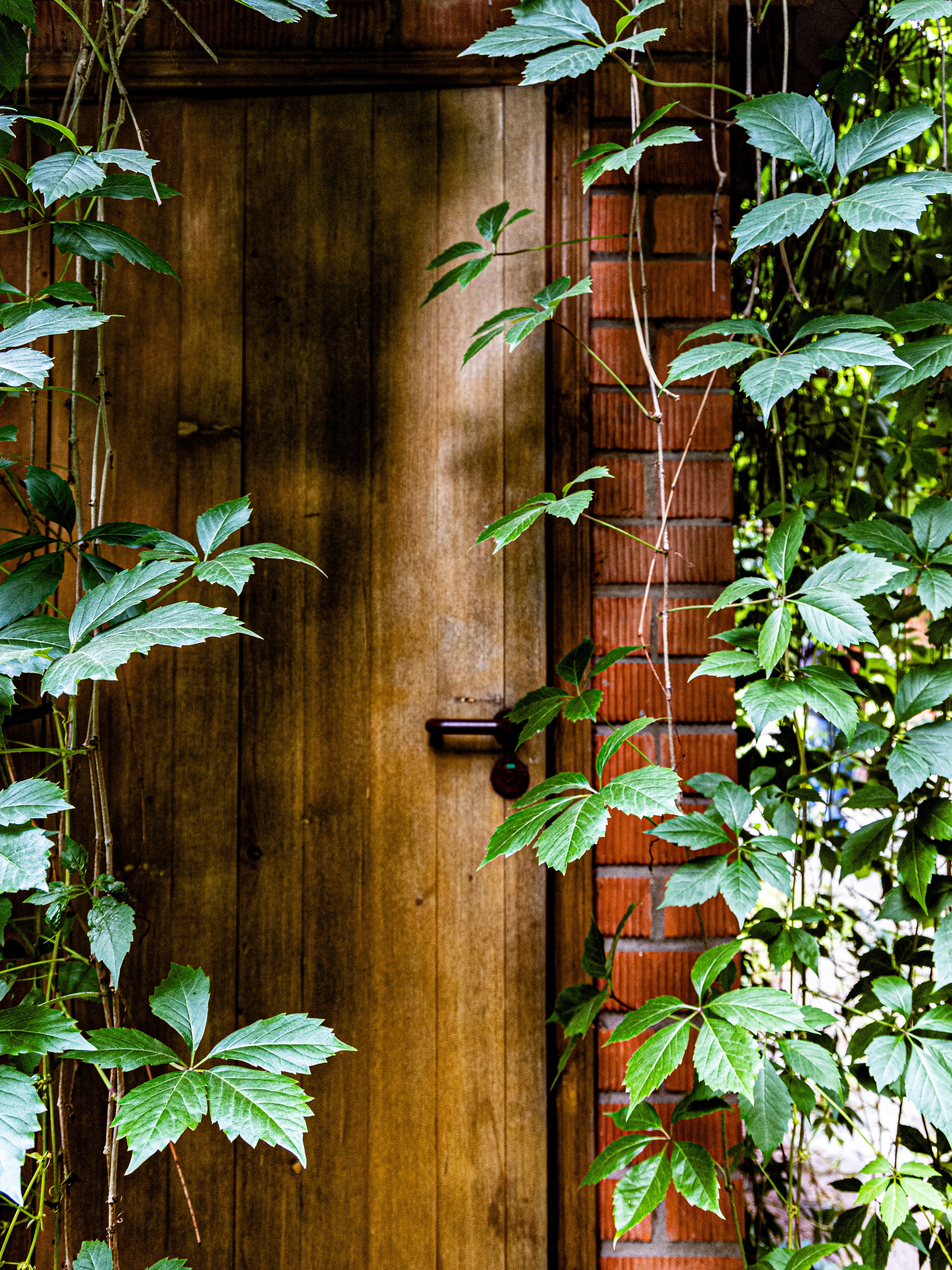 Фотограф Татьяна Марсуверских г. Жуковский, Москва и Мо. Репортажные съёмки, фотосессии. Детский, семейный фотограф. Фотограф для маркетплейсов, фотоуслуги в Жуковском Татьяна Марсуверских