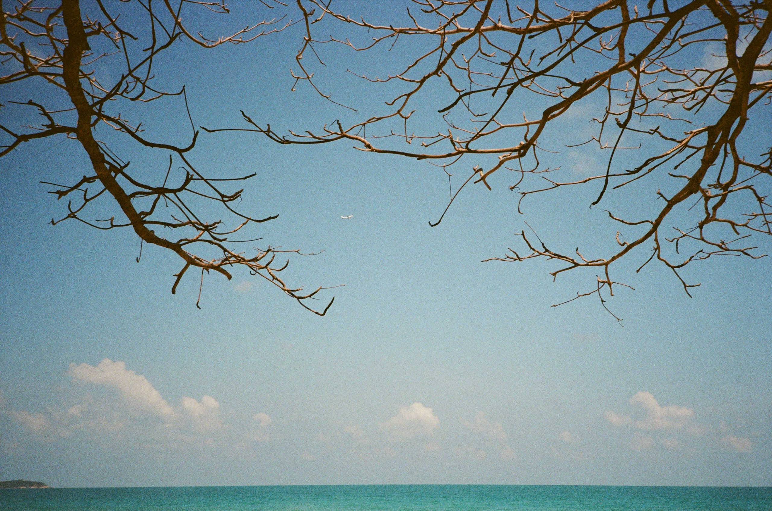 Portfolio. Фотограф Александр Шевяков