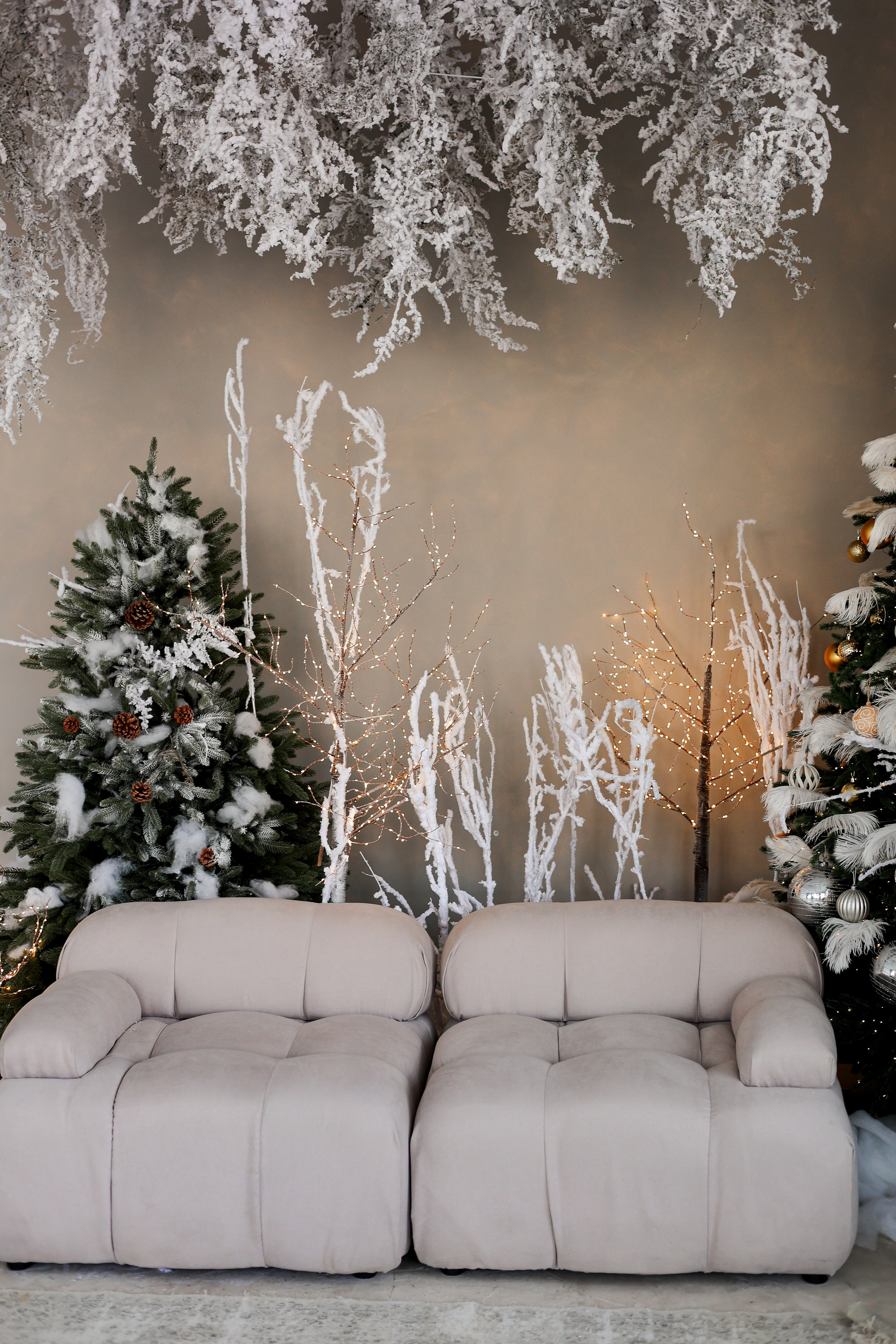 Циклорама. Фотостудия Фотодом. Якутск