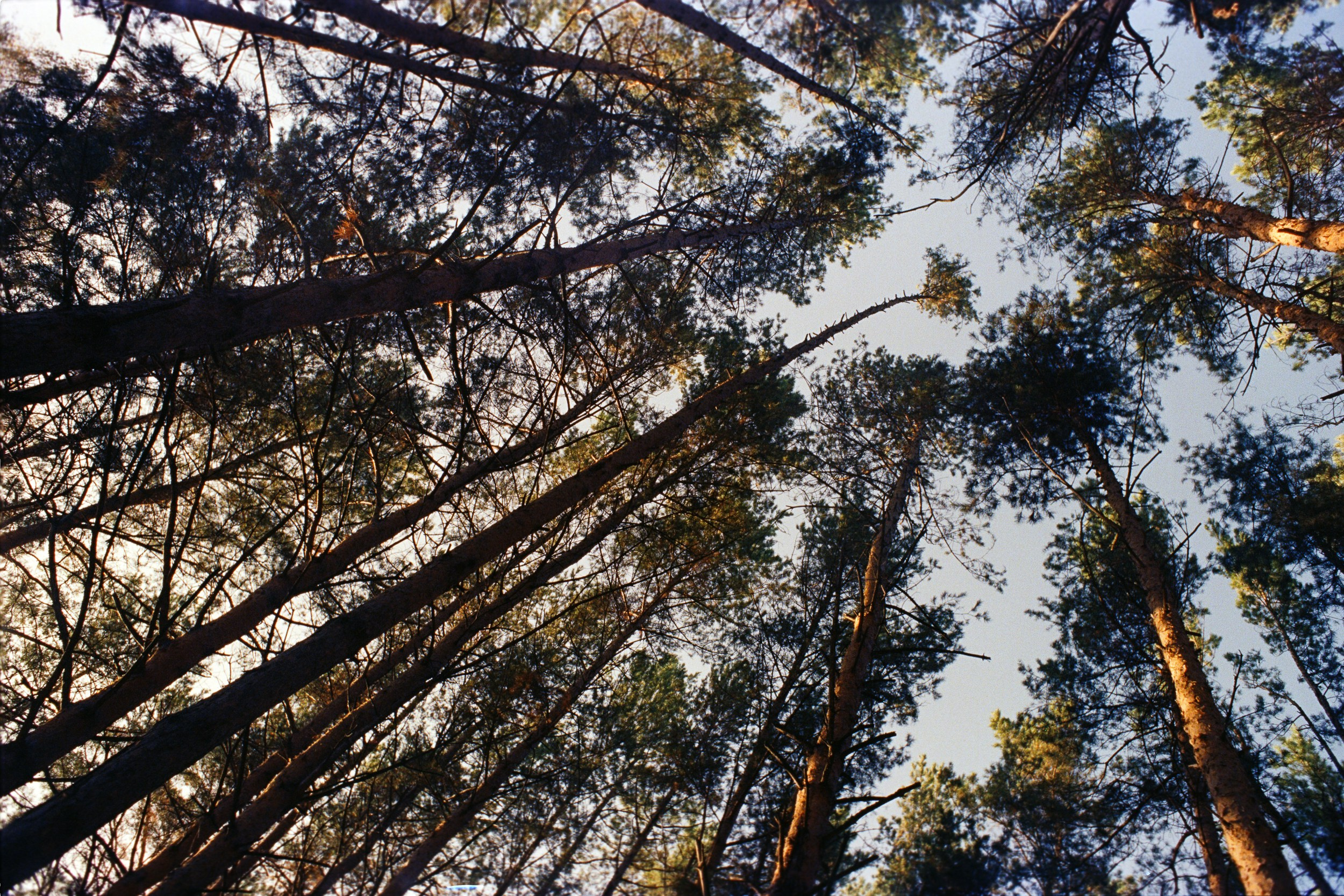 Street-photo города Новосибирск. Портретный и репортажный фотограф. Мыльников Илья