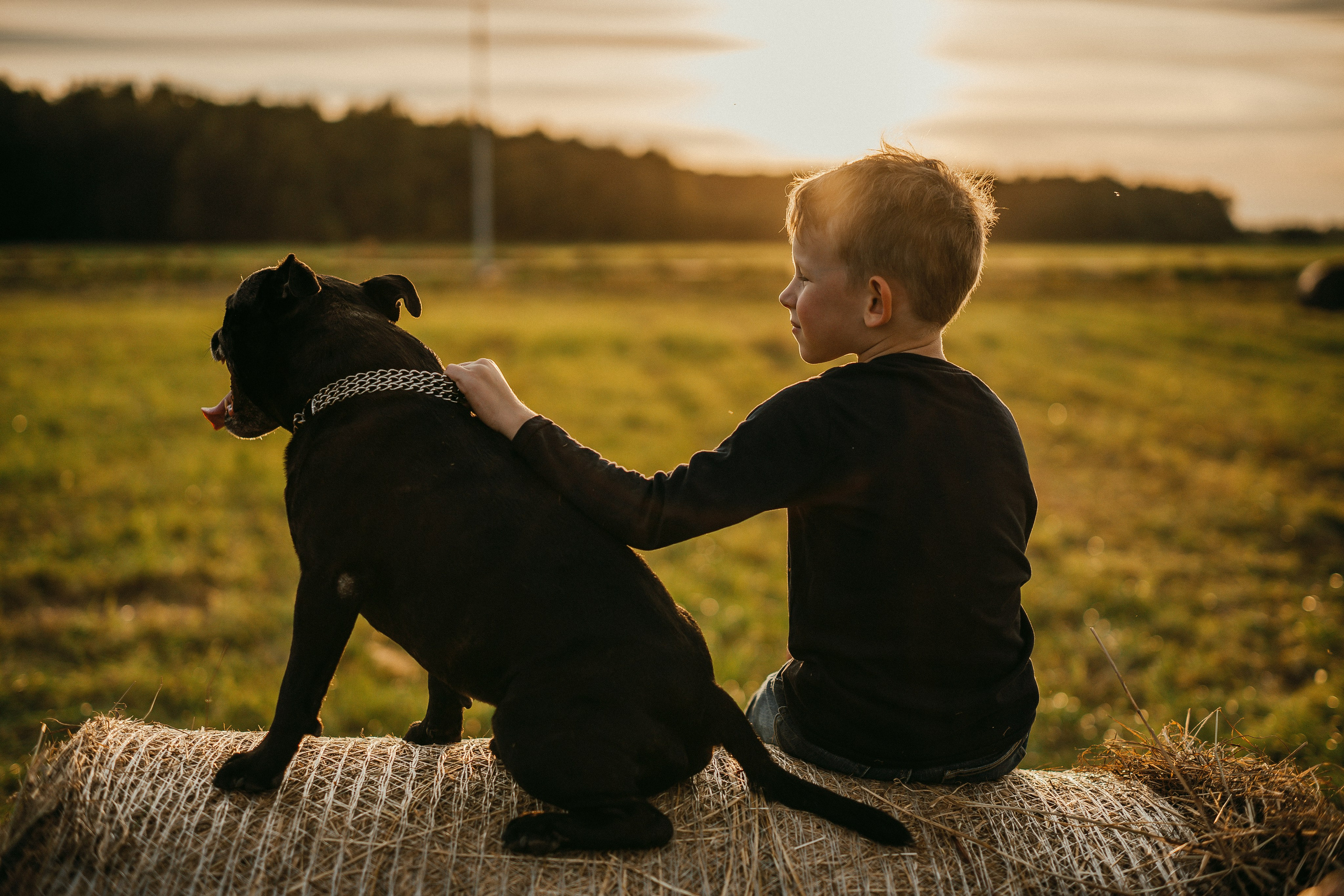 Сентябрь и закат. Marshal-pho. Фотограф Иван Маршалкин в Москве, Подольске и МО