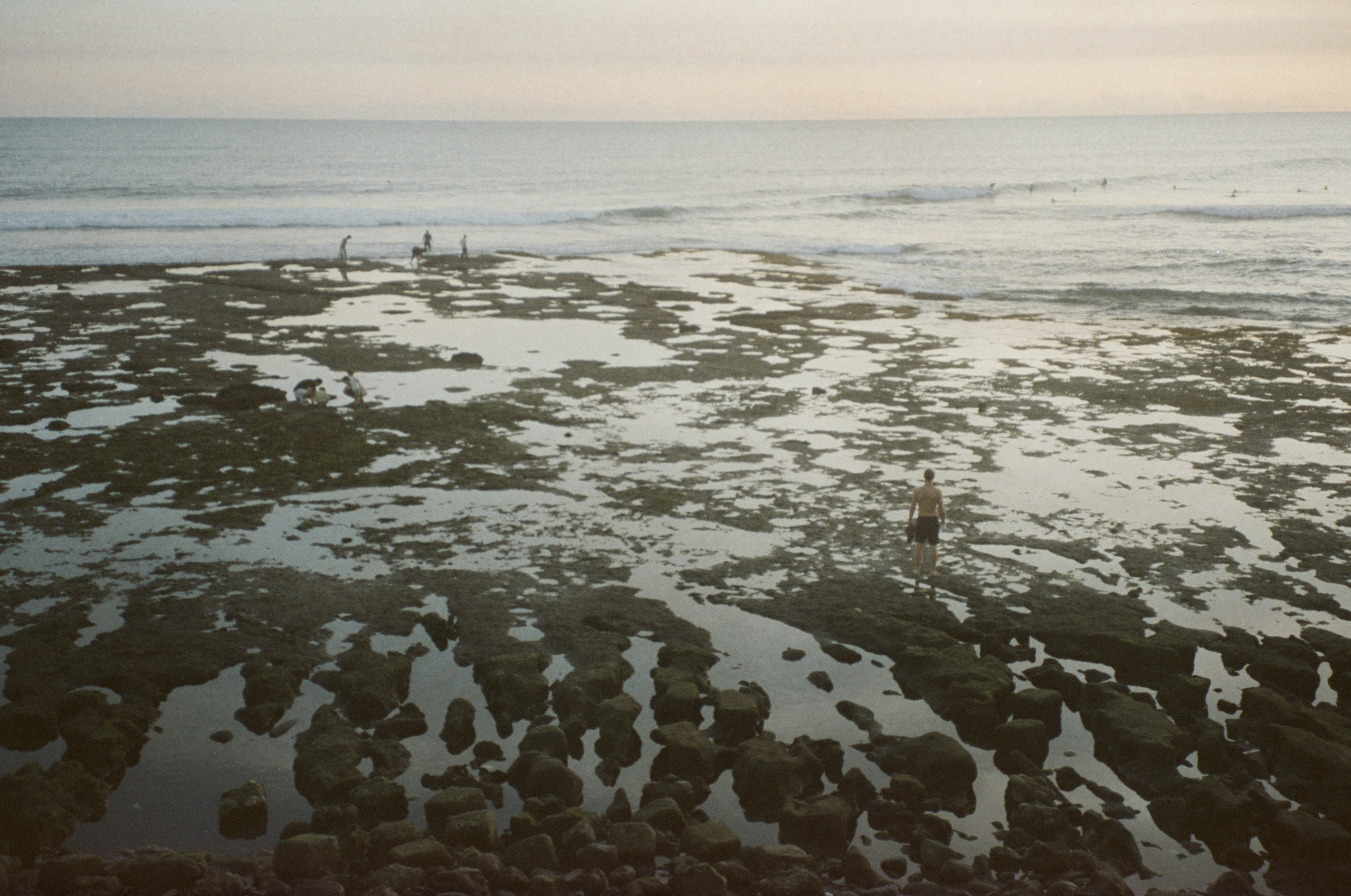 Who u are?. Carolinetru