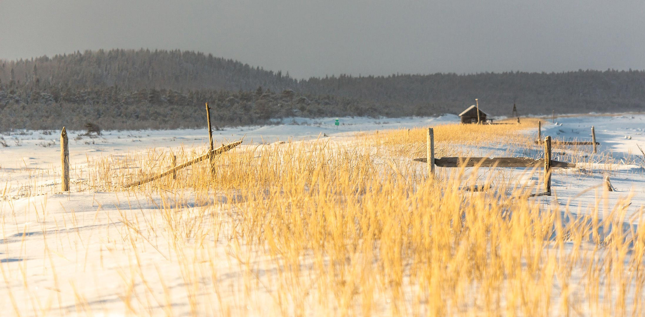 Онежский полуостров на собачьих упряжках. Yuri Ovchinnikov Photography, St. Petersburg, landscape photography