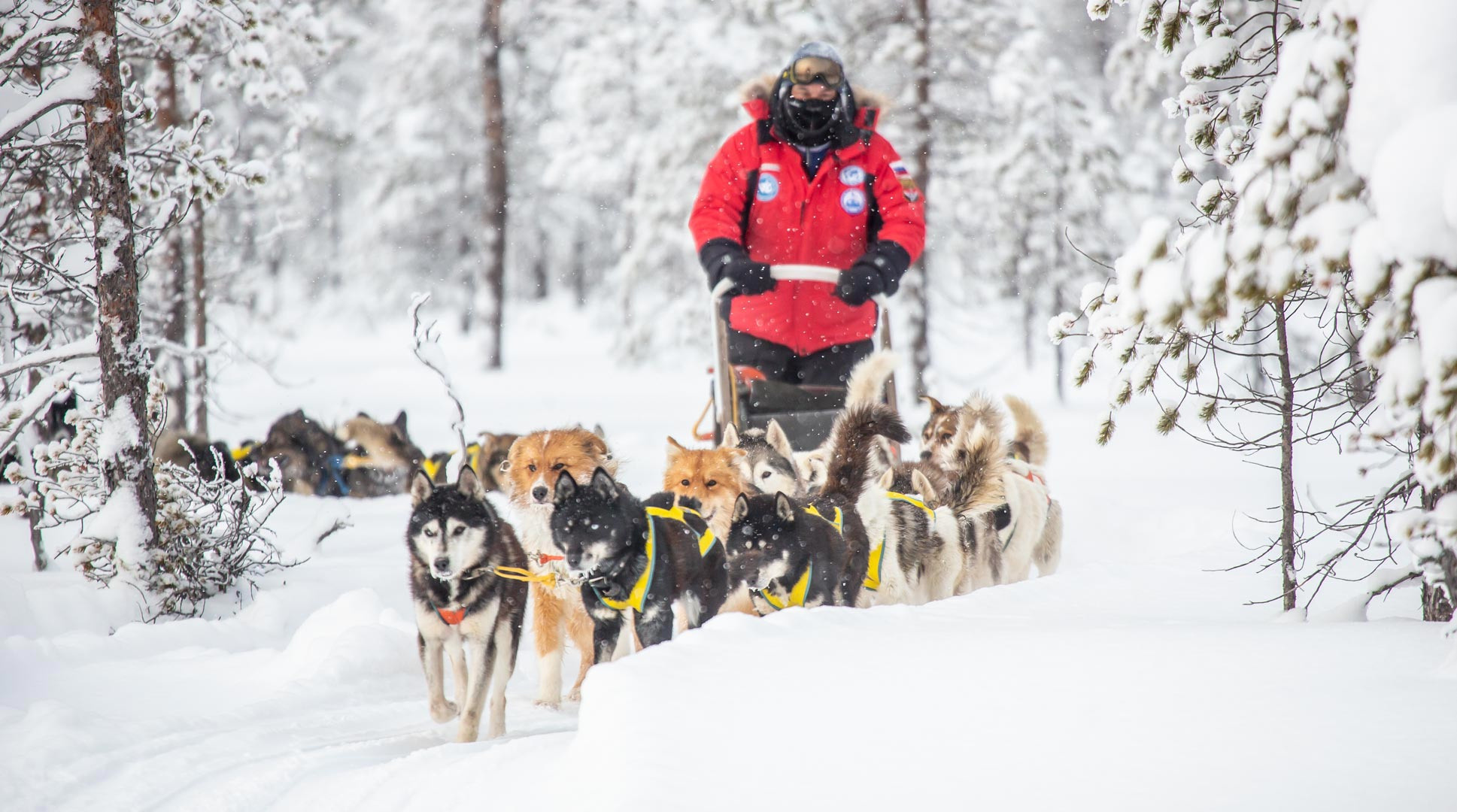 Онежский полуостров на собачьих упряжках. Yuri Ovchinnikov Photography, St. Petersburg, landscape photography