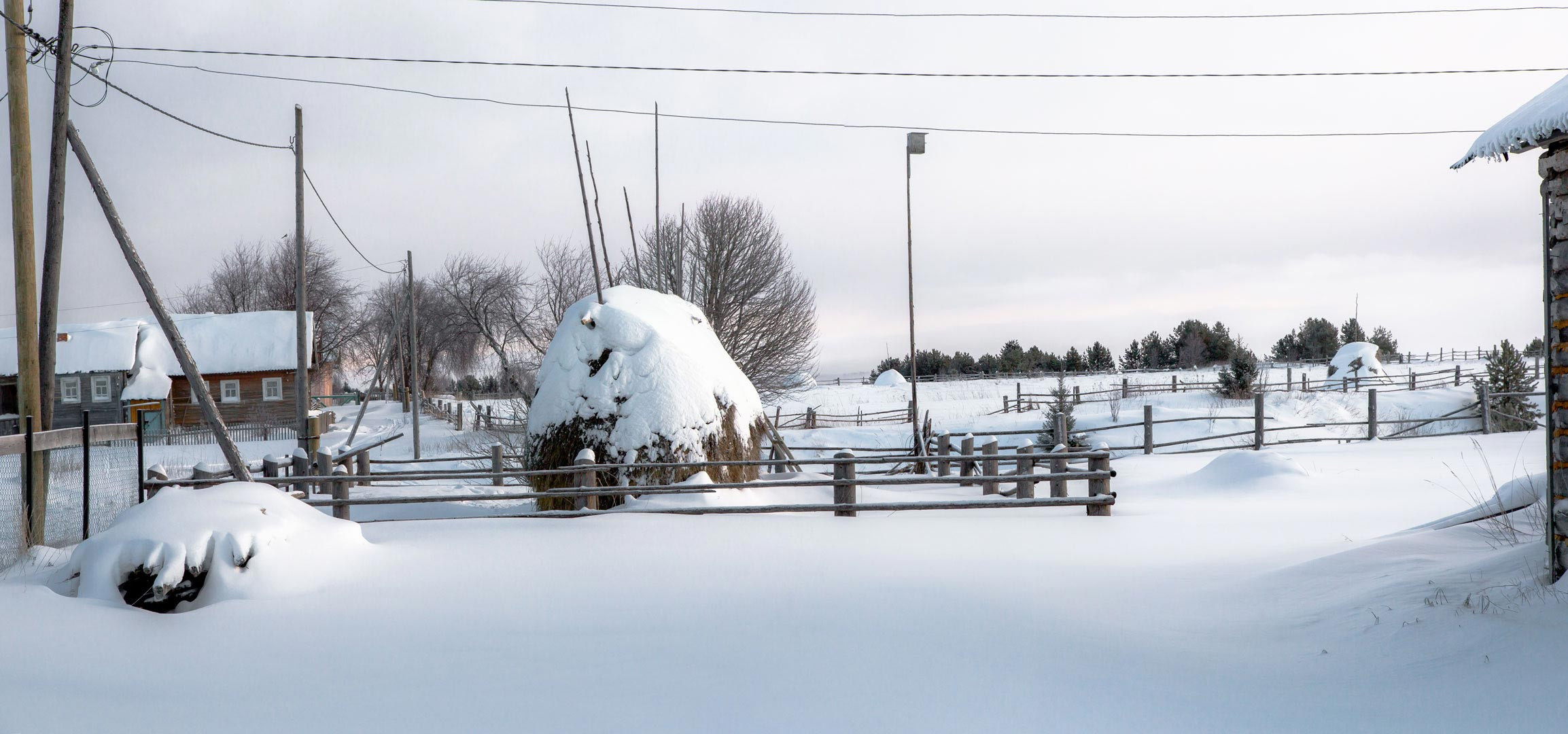 Онежский полуостров на собачьих упряжках. Yuri Ovchinnikov Photography, St. Petersburg, landscape photography