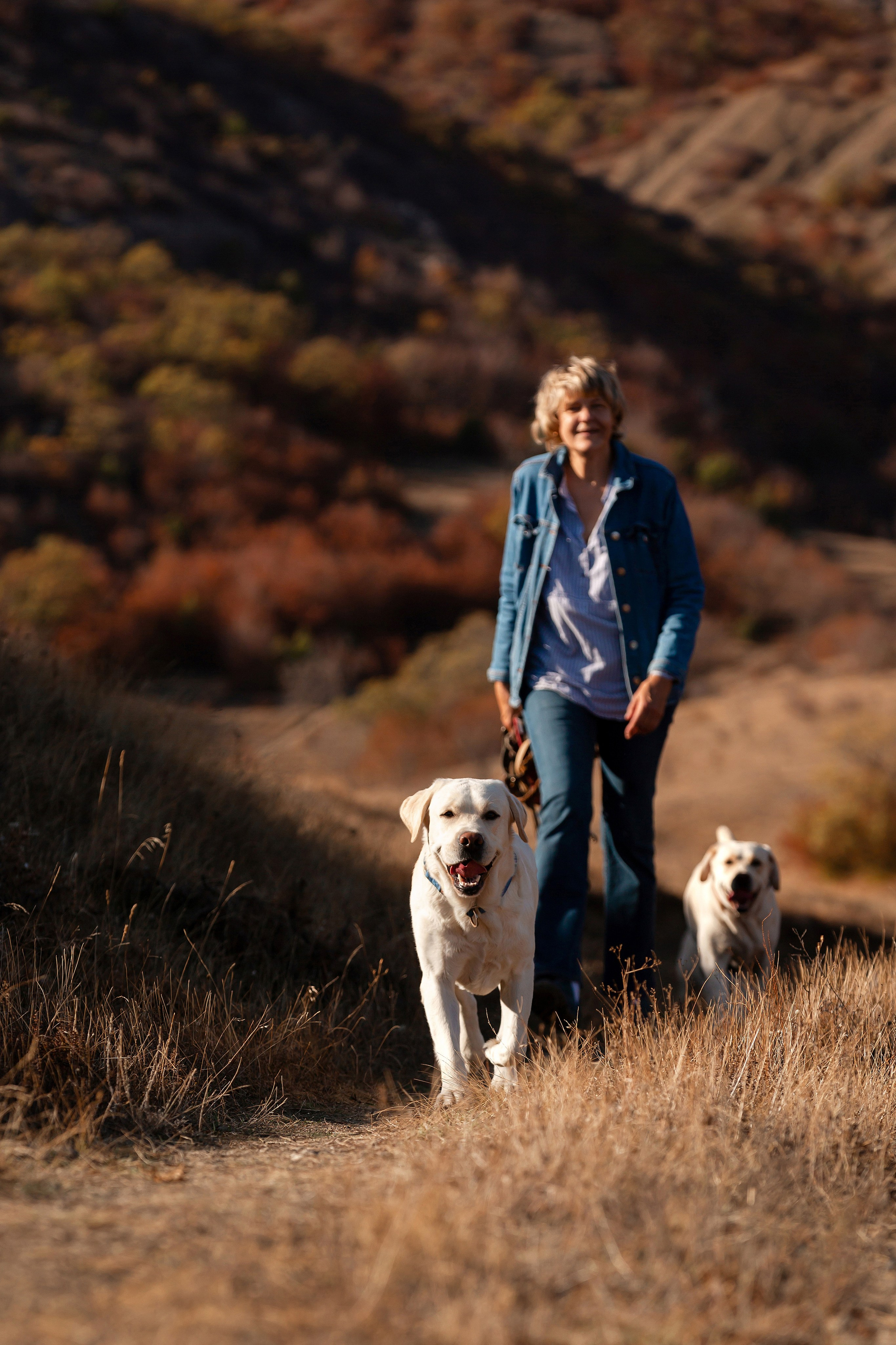 Лабрадоры и горы. Фотограф-анималист в Краснодаре Маша Мельникова