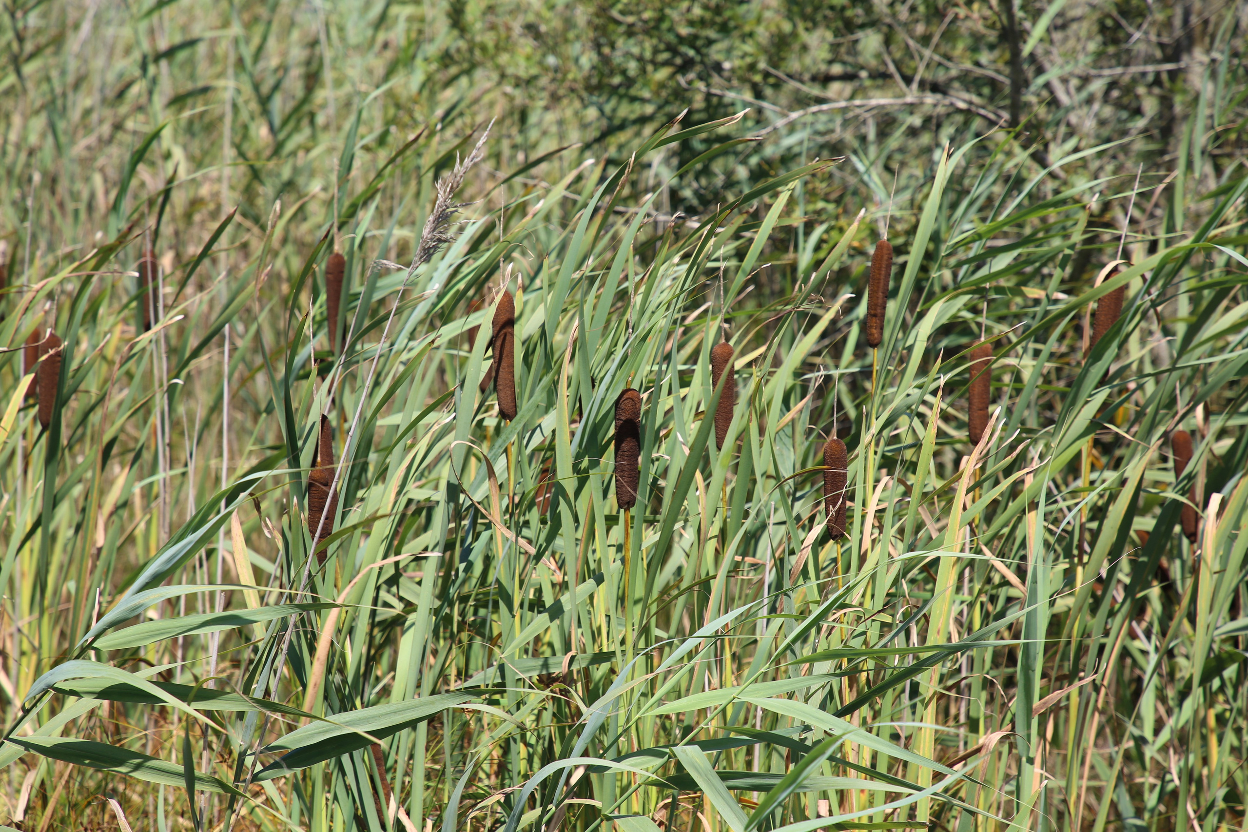 Esmoriz, Portugal. Andrey Filippov Photographer