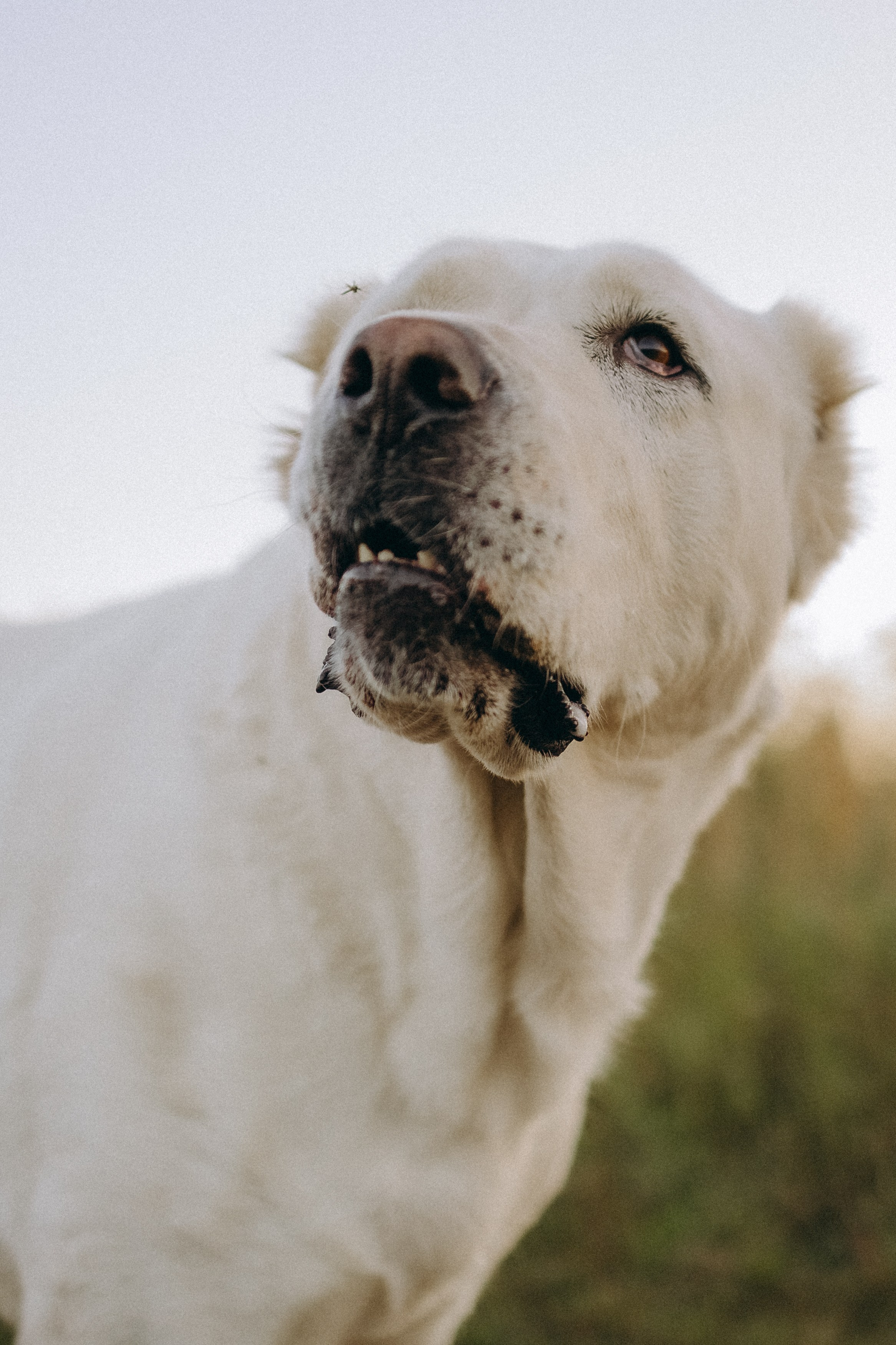 Алена, Еся, Агния. Главная