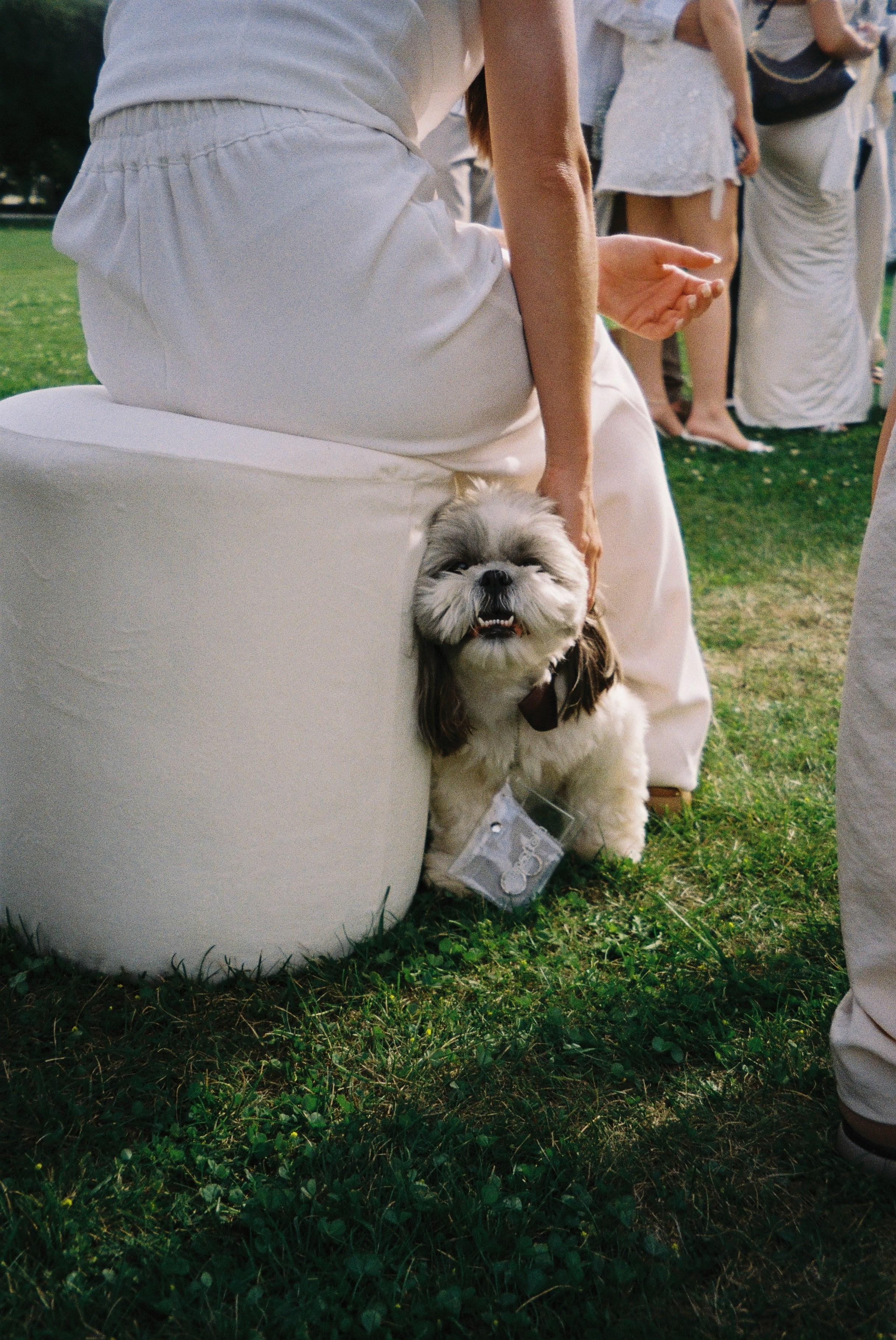 Пленка. Фотограф Ирина Гринько Тольятти Самара Москва