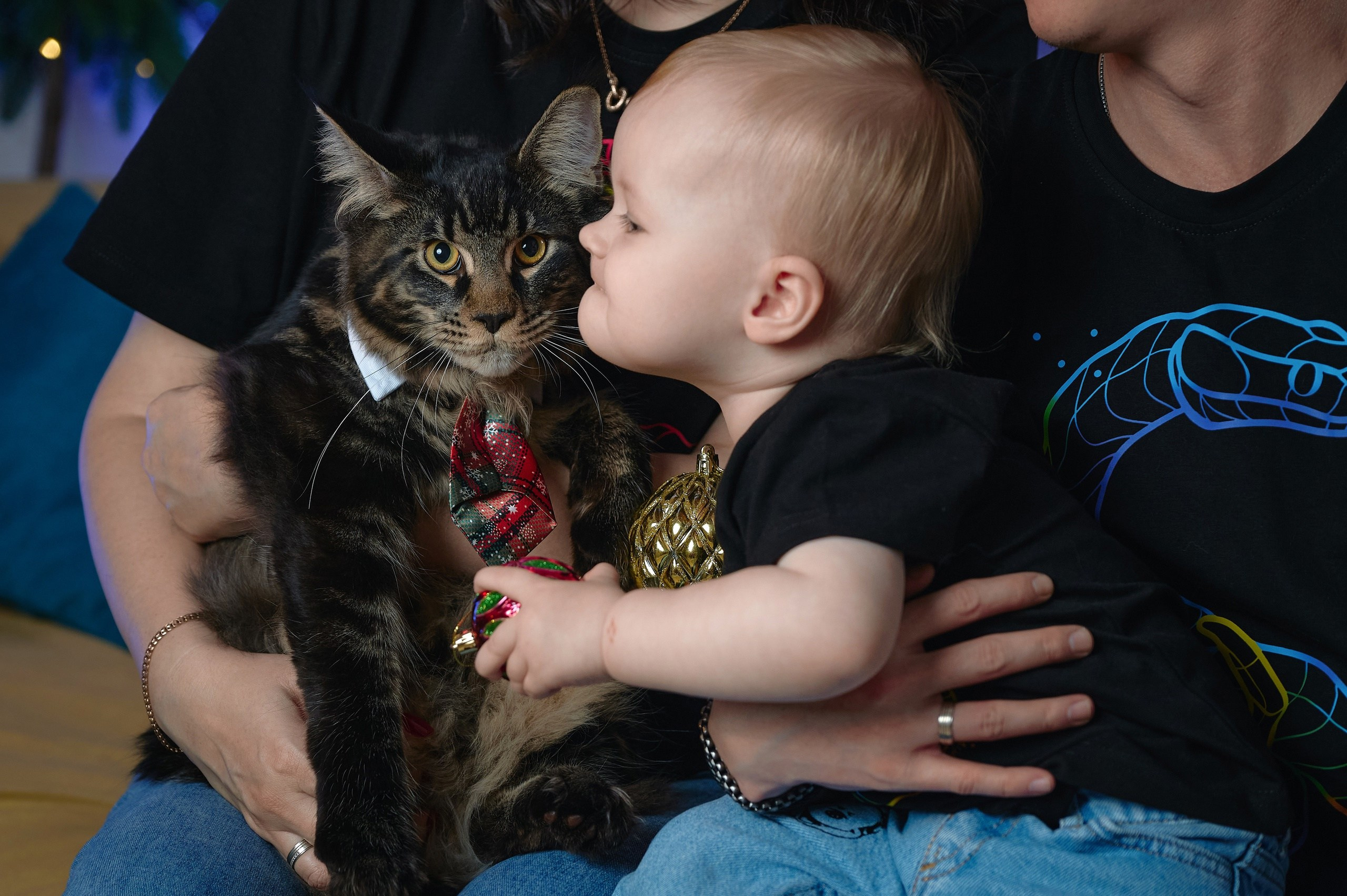 Общее портфолио. Фотограф Опыт Качество Скорость Горный Алтай Барнаул