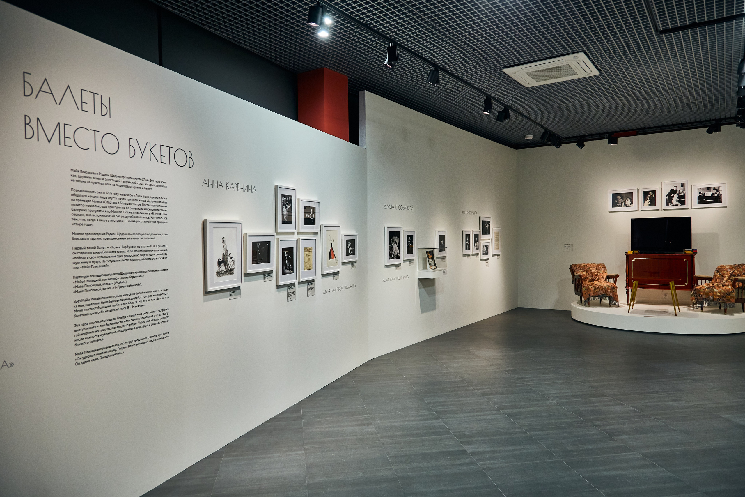 Выставка «Майя Плисецкая. Полюс магии». Даниил Гузиенко — репортажный фотограф в Туле