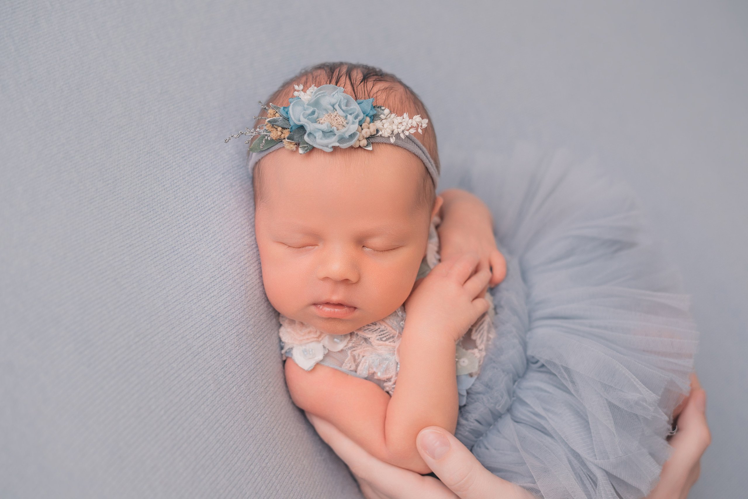 София. Фотограф новорожденных Белгород