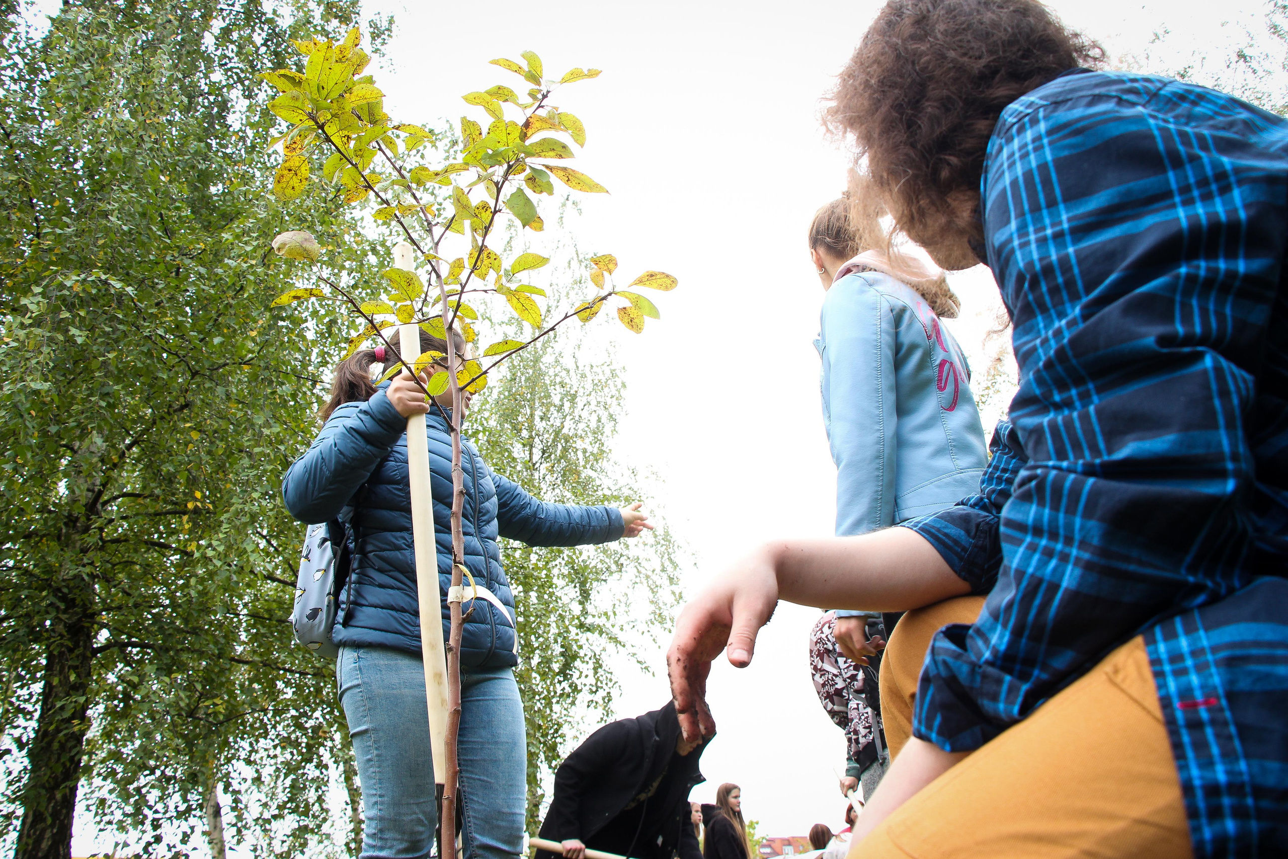 Акция «наш лес». Мария Ткаченко. Документальная фотография