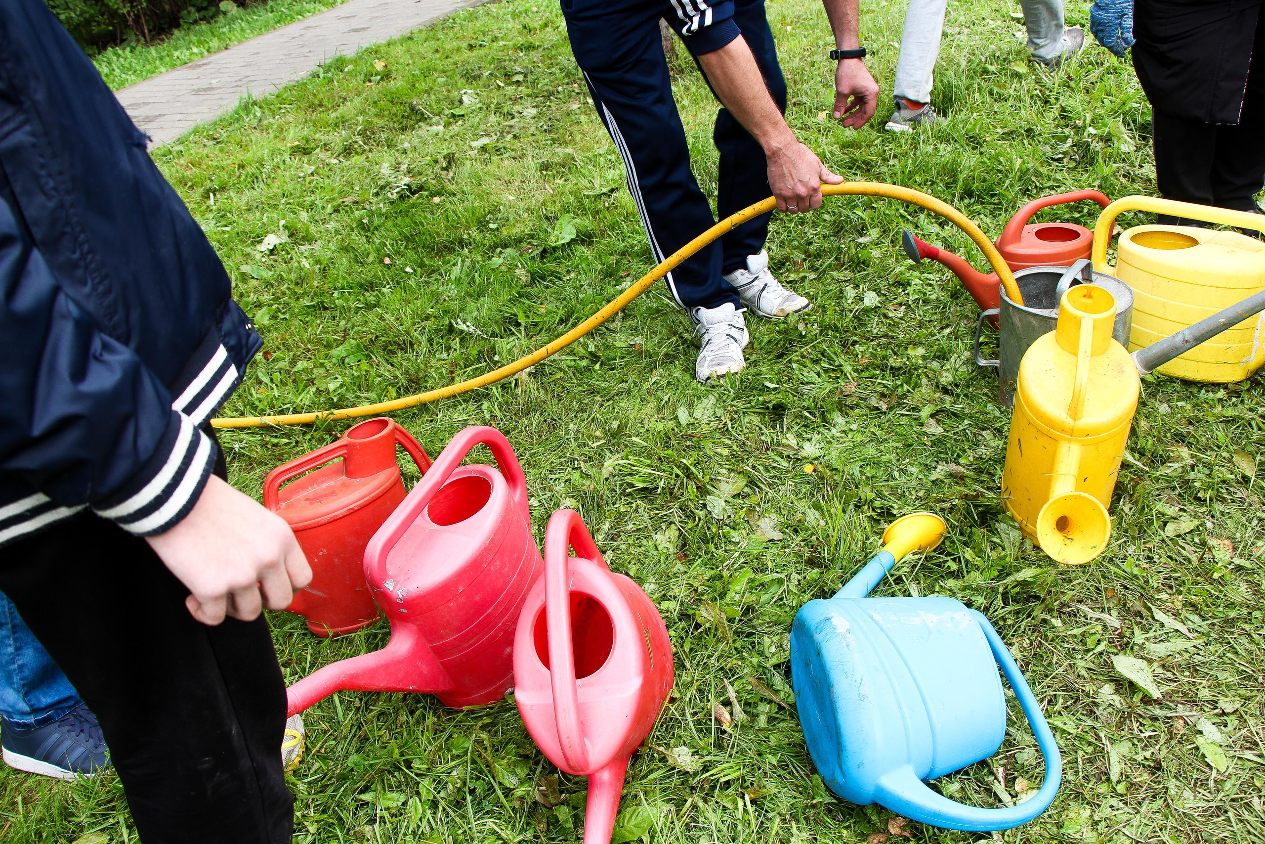 Акция «наш лес». Мария Ткаченко. Документальная фотография