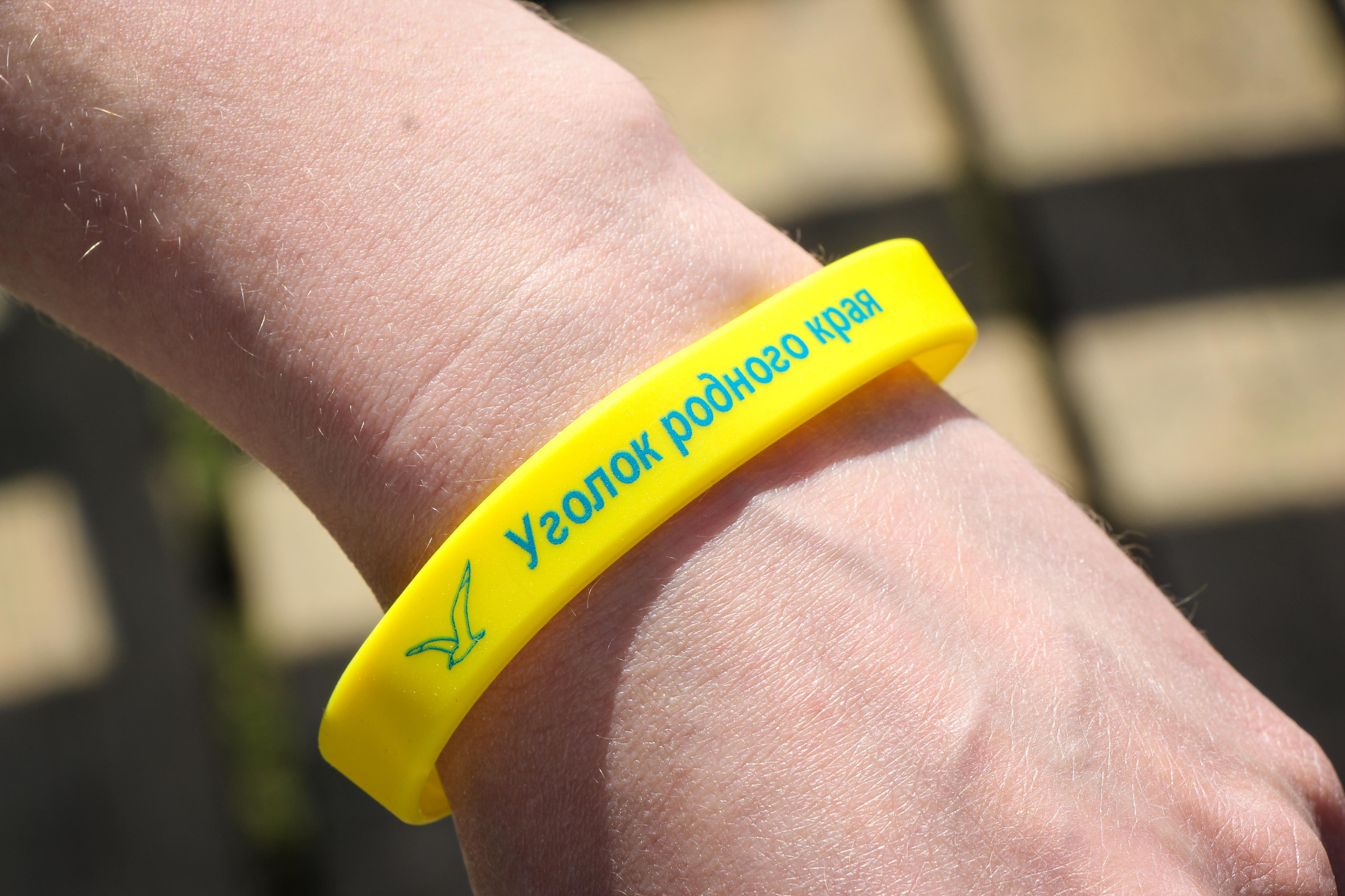 Сохранение популяции черноголовых чаек озера Киово г. Лобня. 2021 г. Мария Ткаченко. Документальная фотография