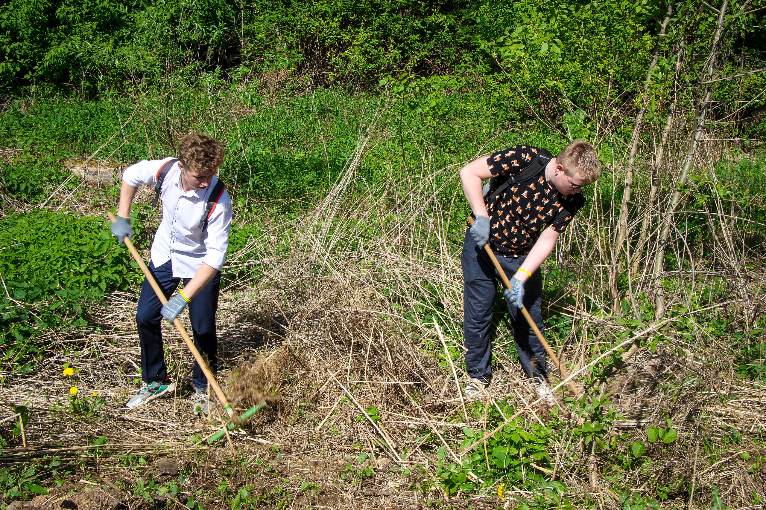 Сохранение популяции черноголовых чаек озера Киово г. Лобня. 2021 г. Мария Ткаченко. Документальная фотография