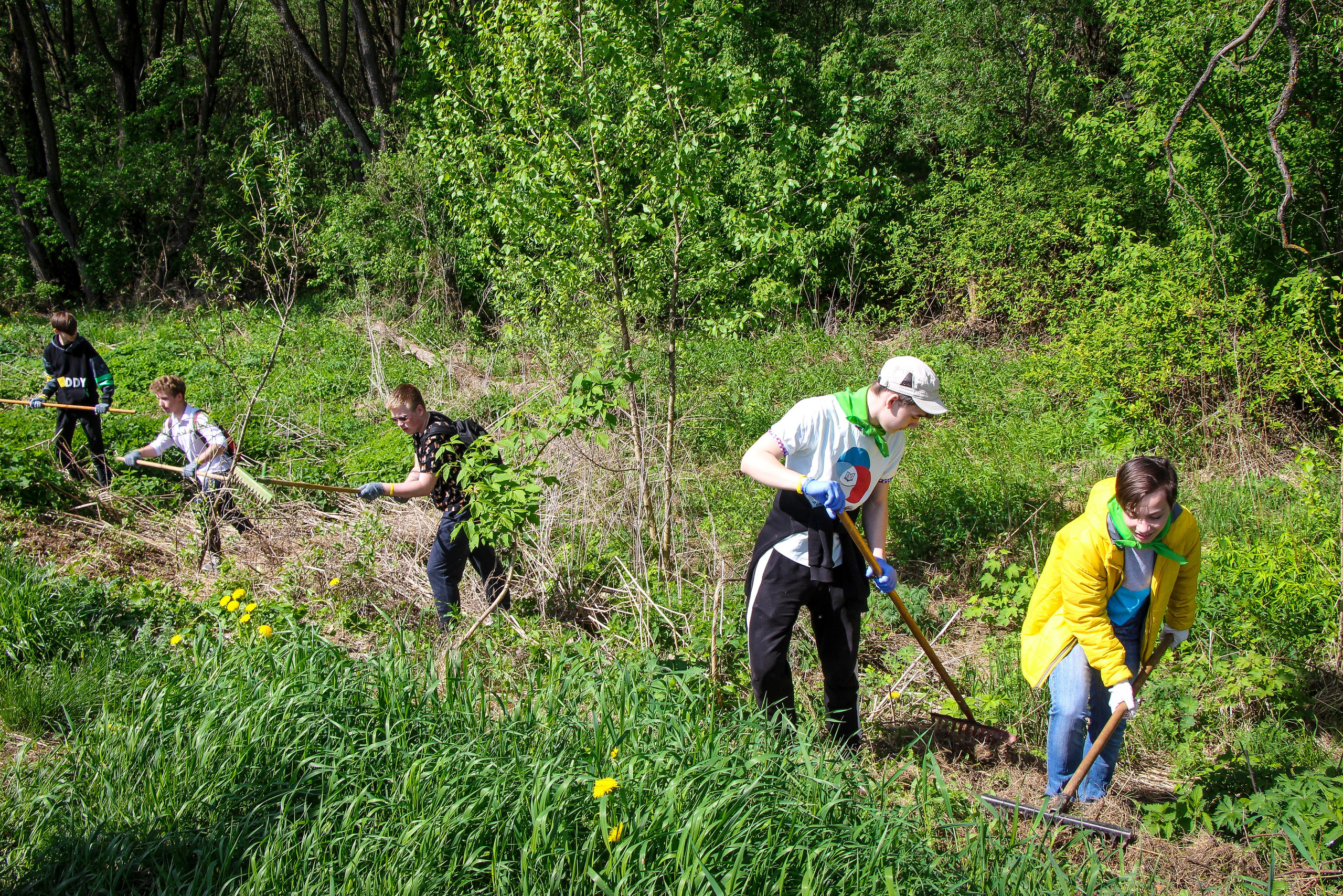 Сохранение популяции черноголовых чаек озера Киово г. Лобня. 2021 г. Мария Ткаченко. Документальная фотография