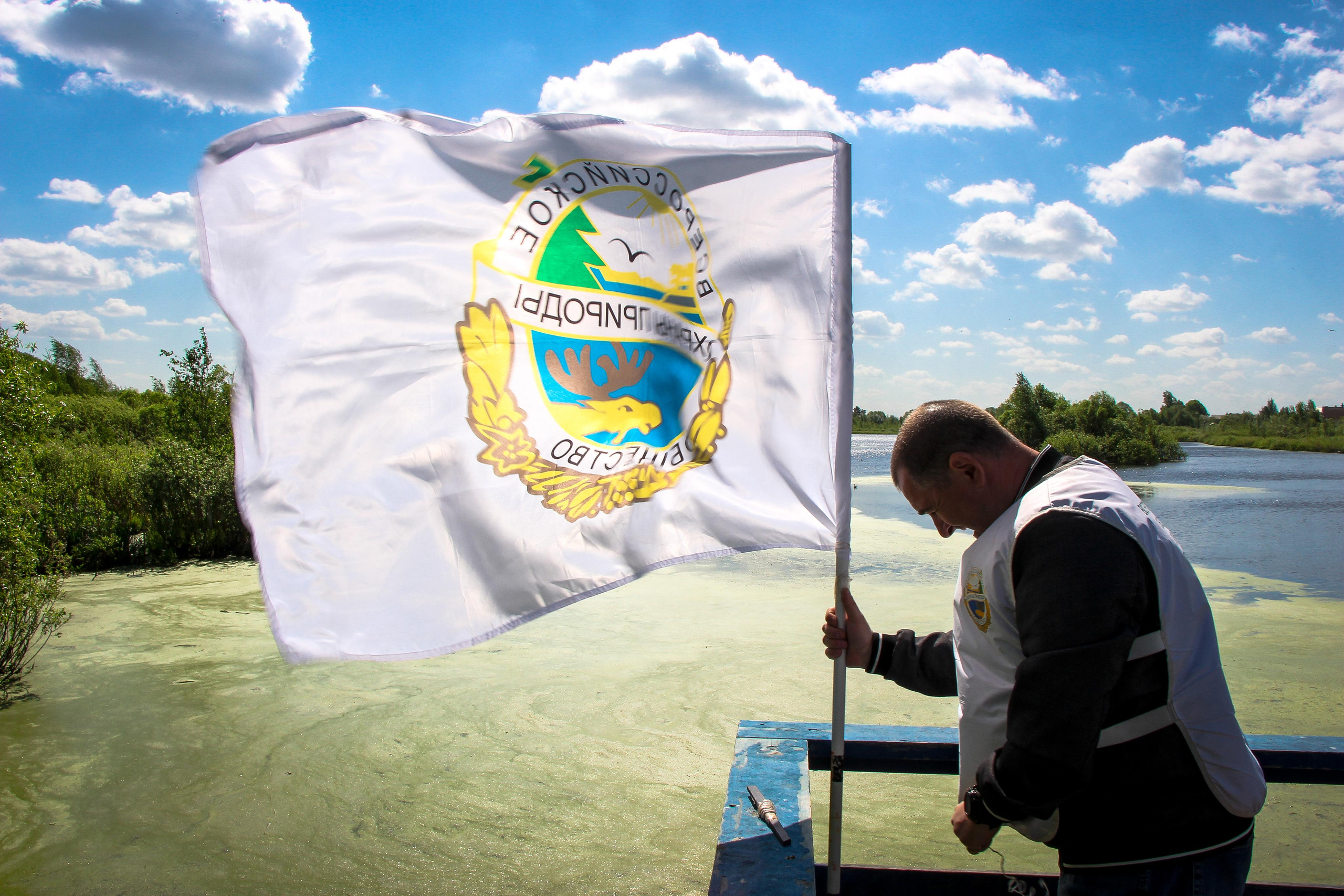 Сохранение популяции черноголовых чаек озера Киово г. Лобня. 2021 г. Мария Ткаченко. Документальная фотография