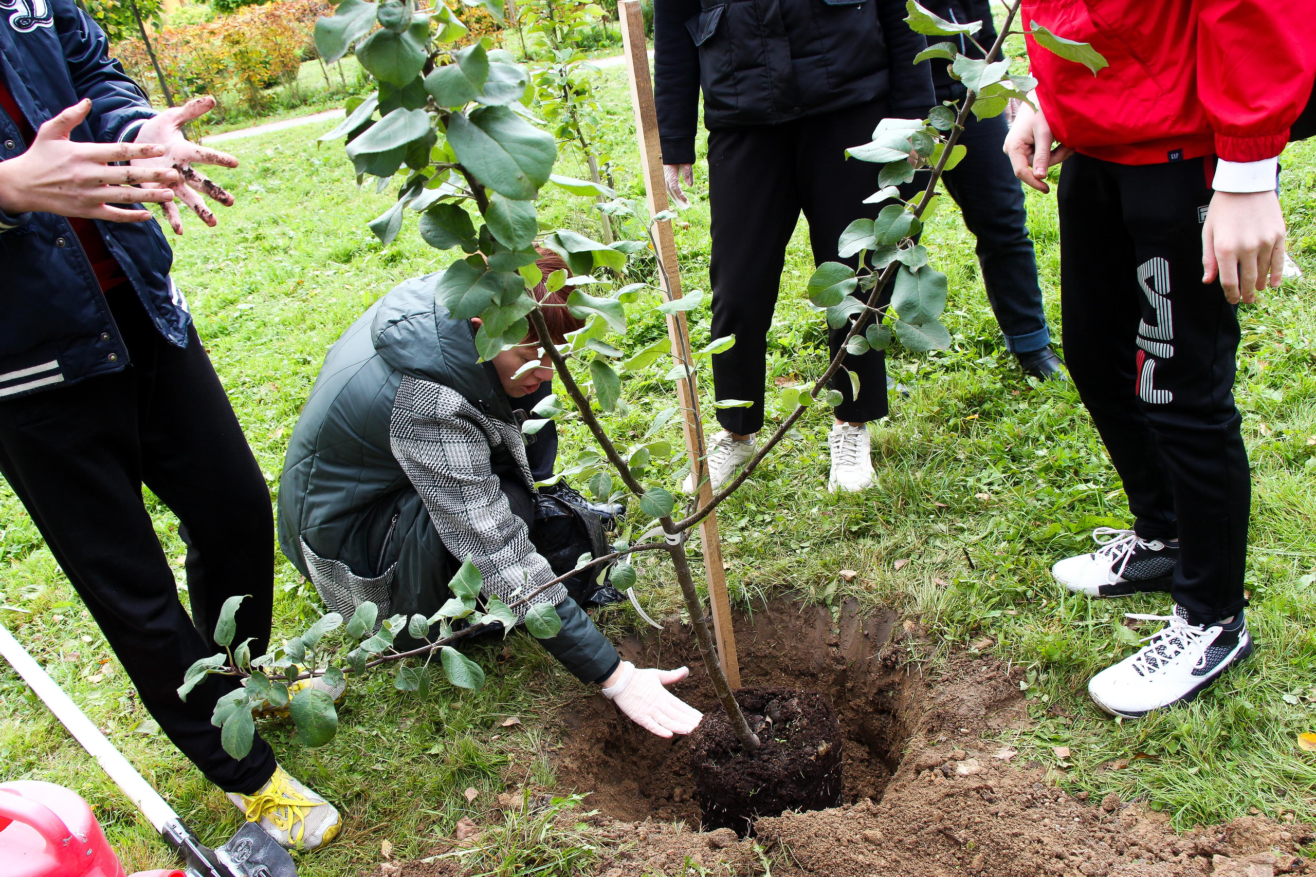 Акция «наш лес». Мария Ткаченко. Документальная фотография