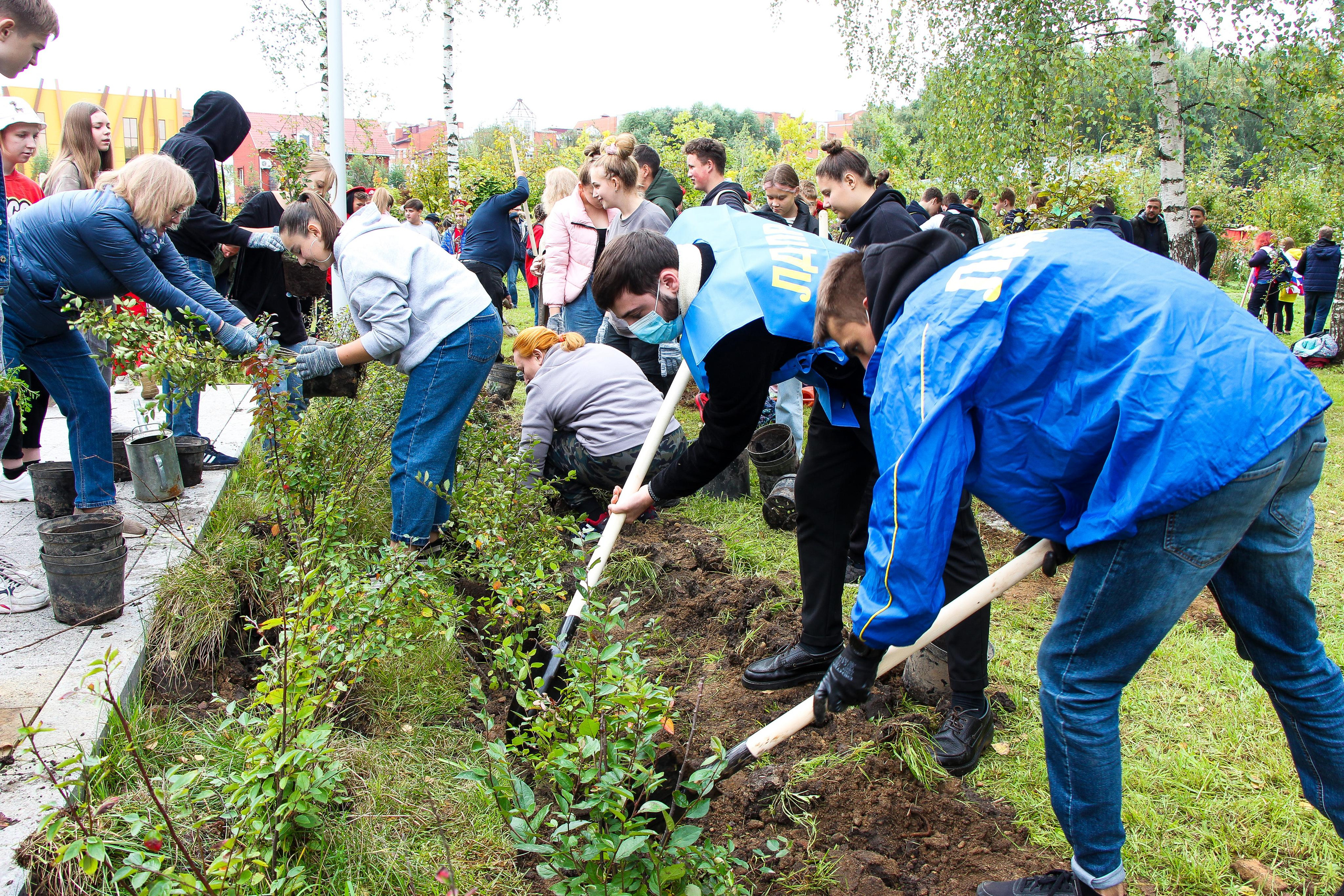 Акция «наш лес». Мария Ткаченко. Документальная фотография
