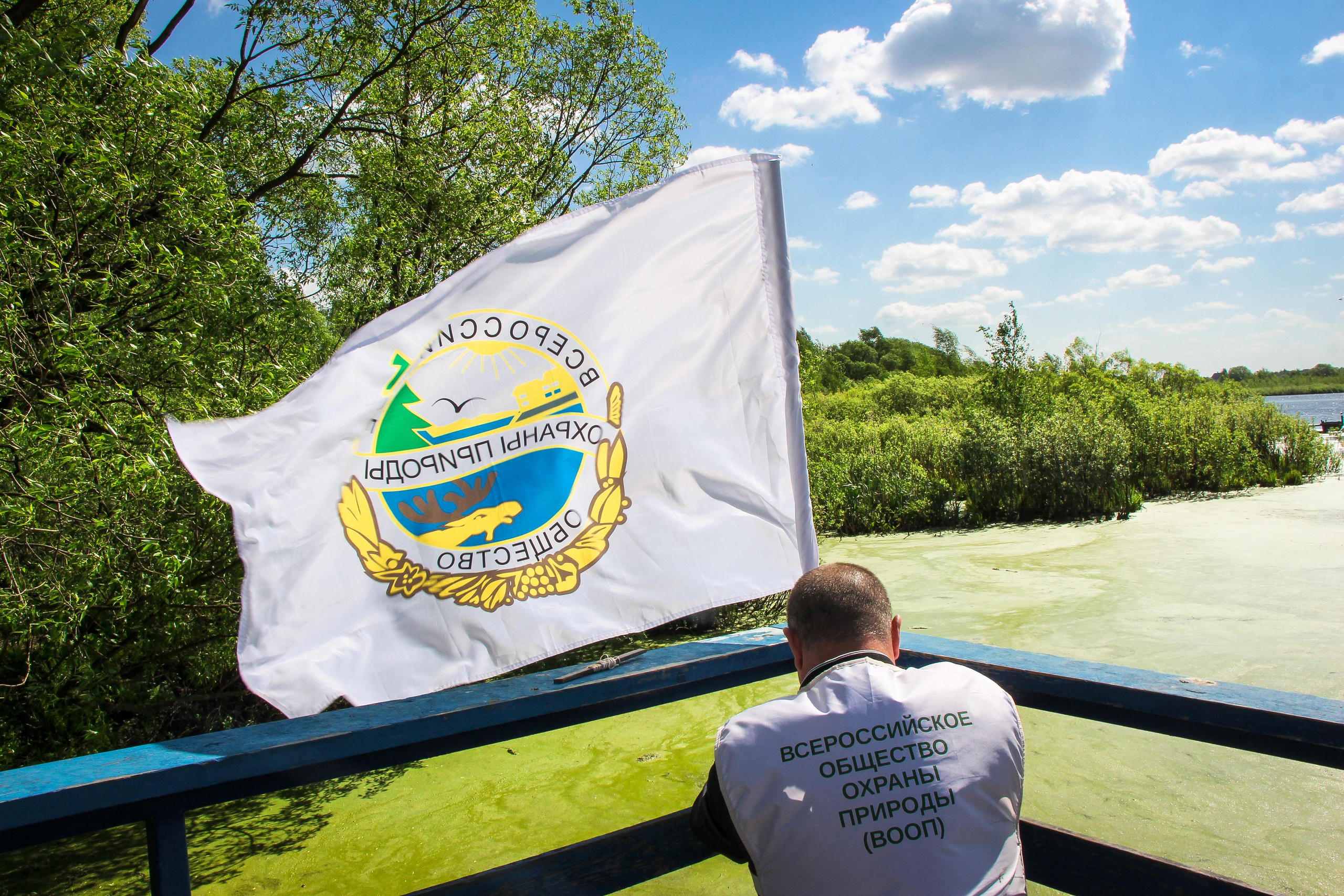 Сохранение популяции черноголовых чаек озера Киово г. Лобня. 2021 г. Мария Ткаченко. Документальная фотография