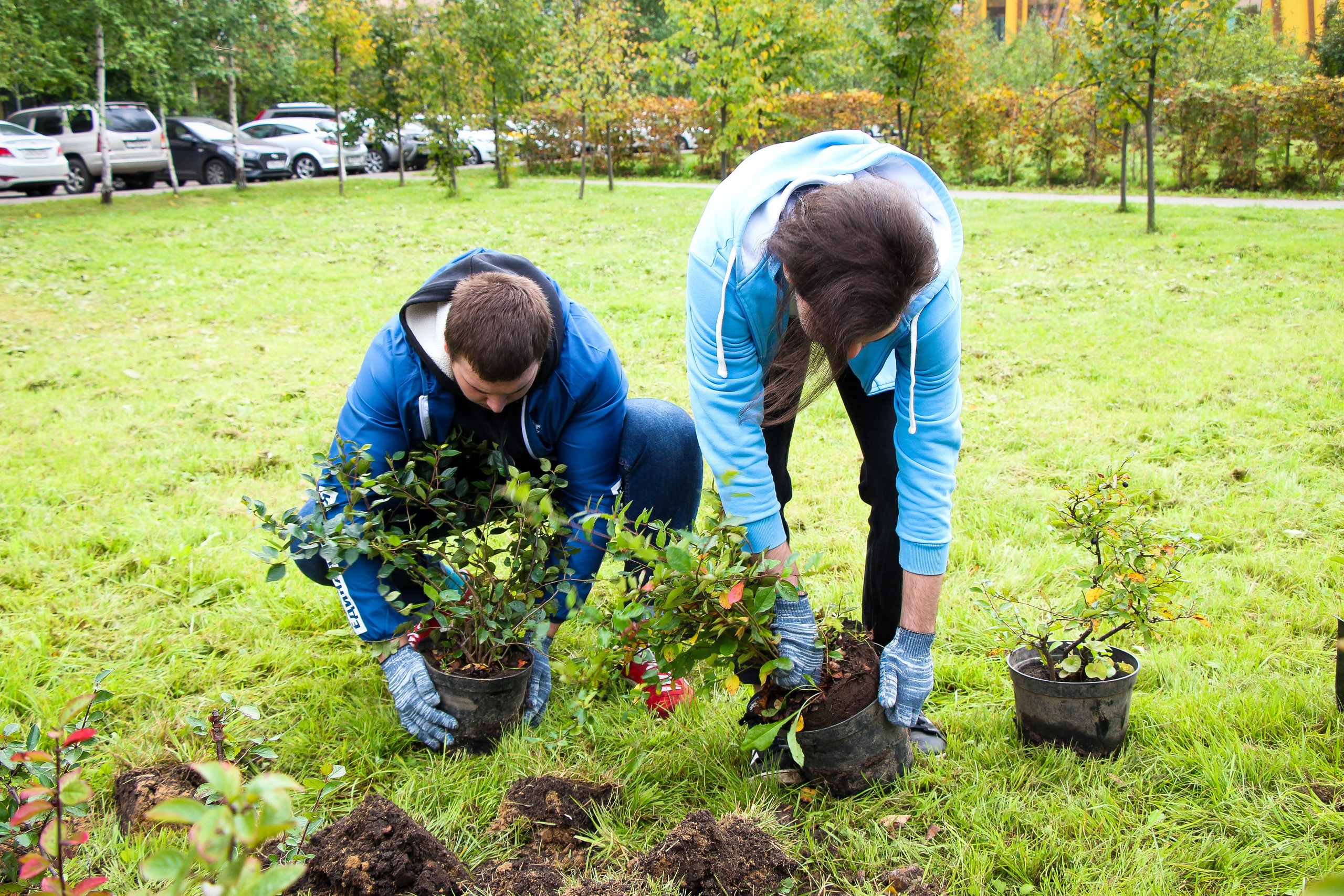 Акция «наш лес». Мария Ткаченко. Документальная фотография
