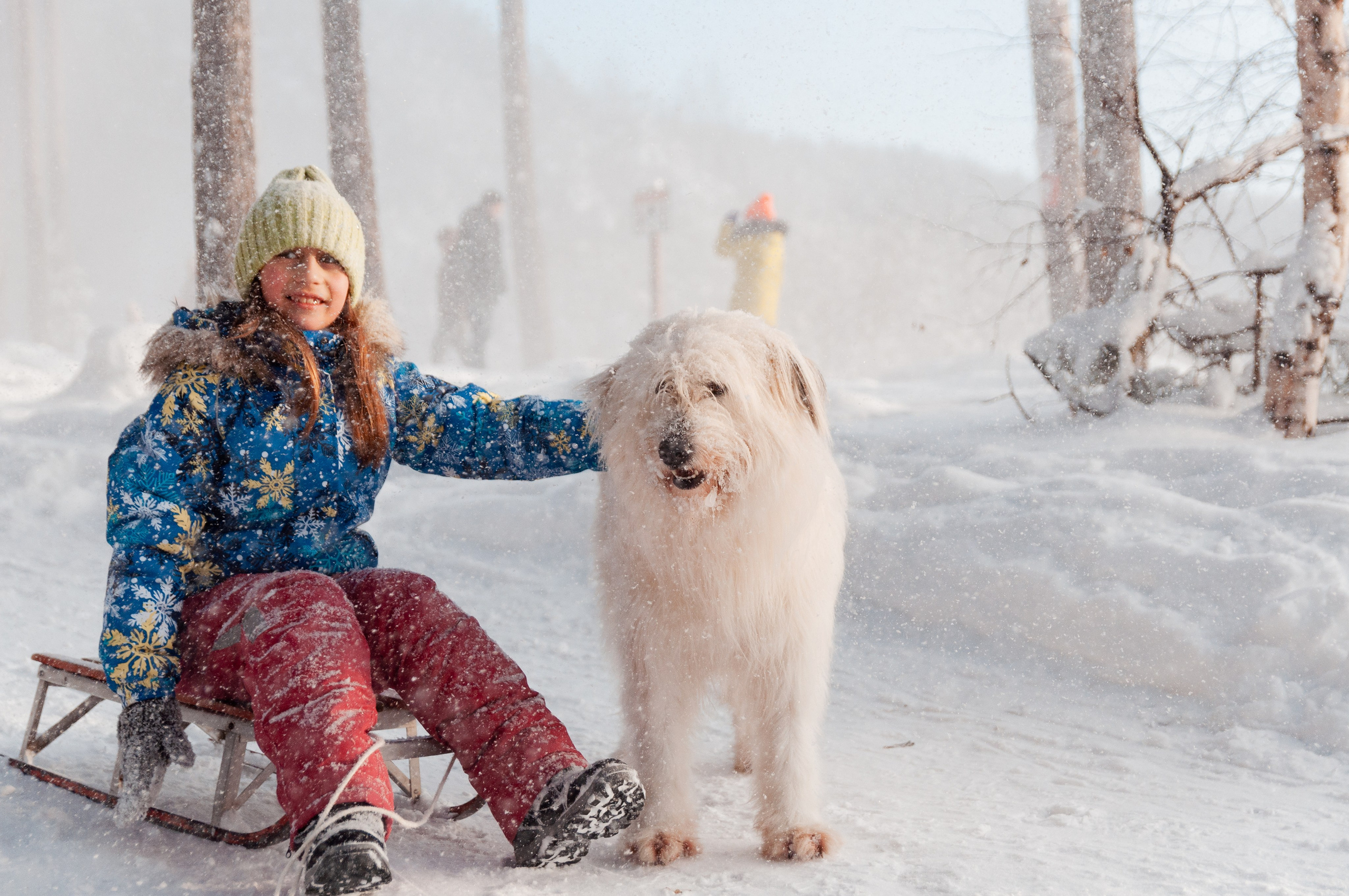 КСЮША+ВАЛЕРА+АВРОРА+РОБЕРТ. Фотограф в Ярославле Грибанова Ирина