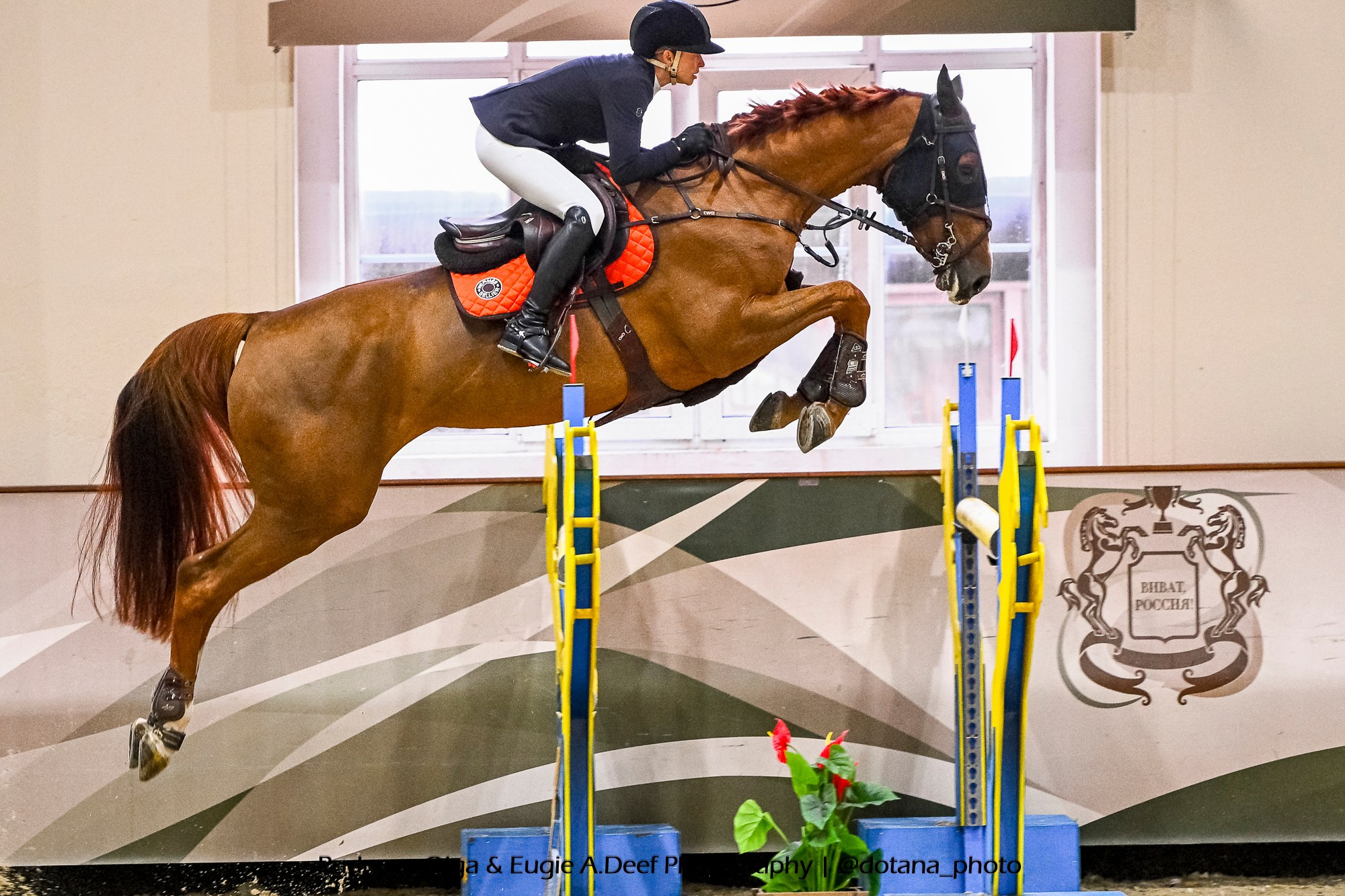 2025.11.16 — КСК Виват, Россия! — конкур, ФИНАЛ международные соревнования. ТУРНИРНАЯ КОННАЯ ФОТОГРАФИЯ, Руднева Ольга и Евгений Адеев