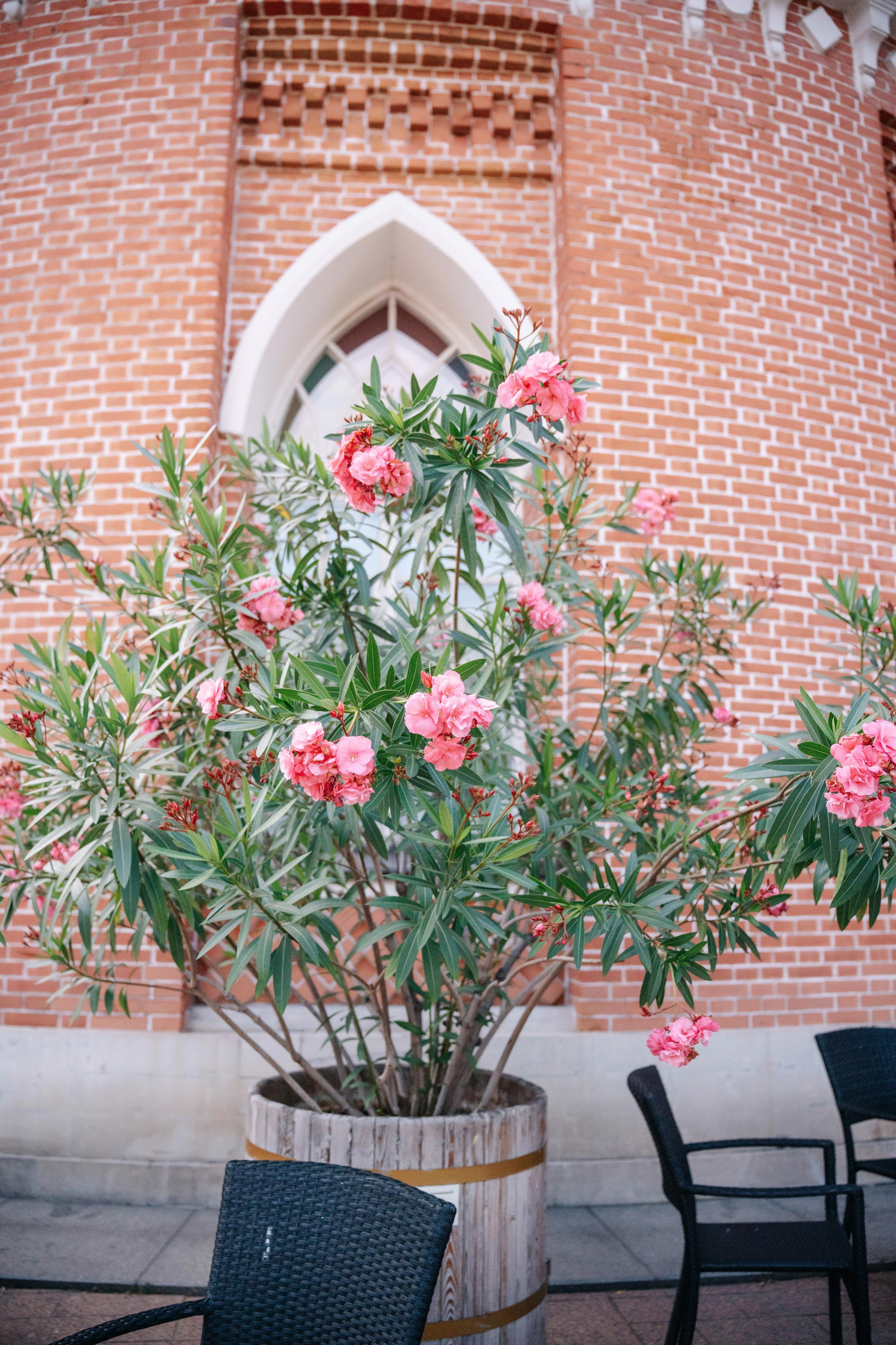 Свадебная фотосессия для Алексея и Татьяны