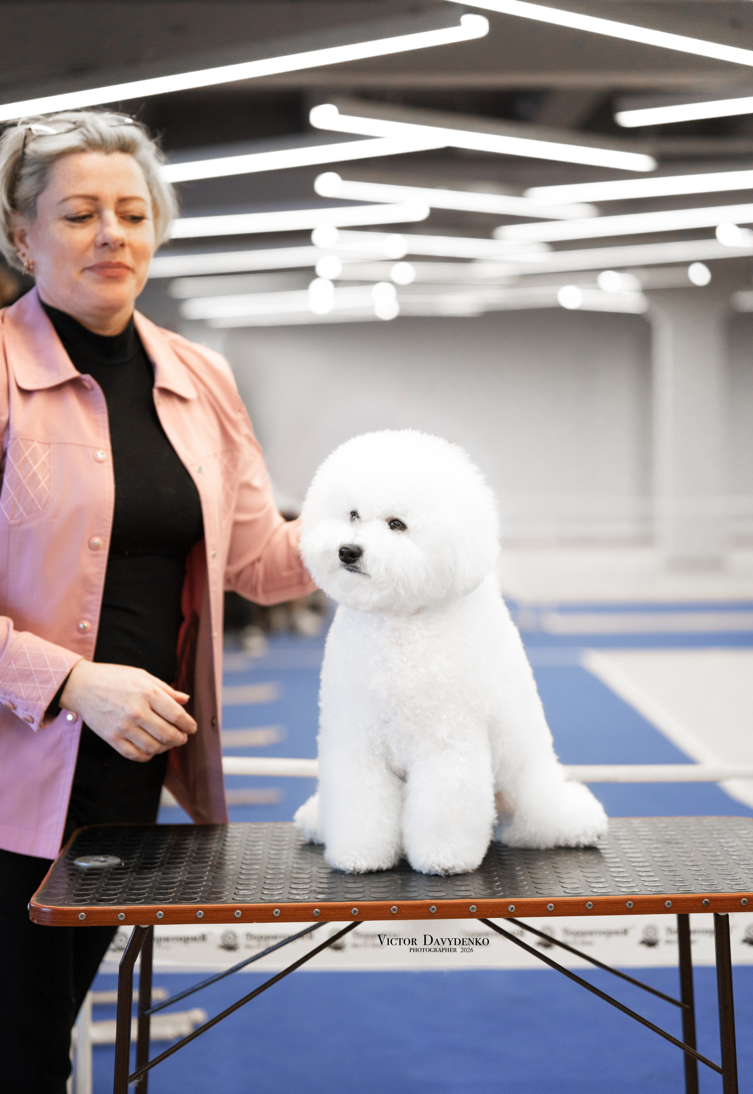  фотограф анималист краснодар выставка собак дог шоу