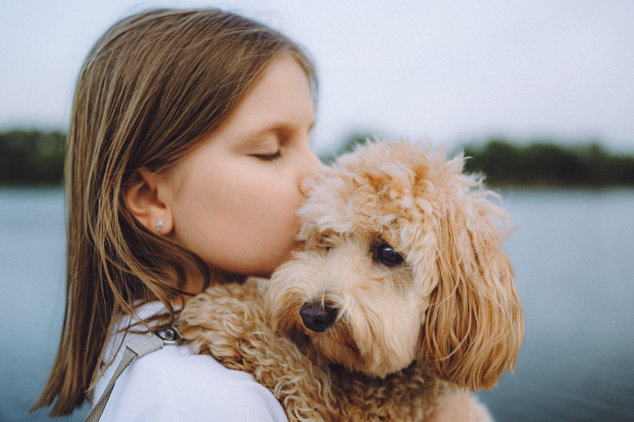 Фред и его семья