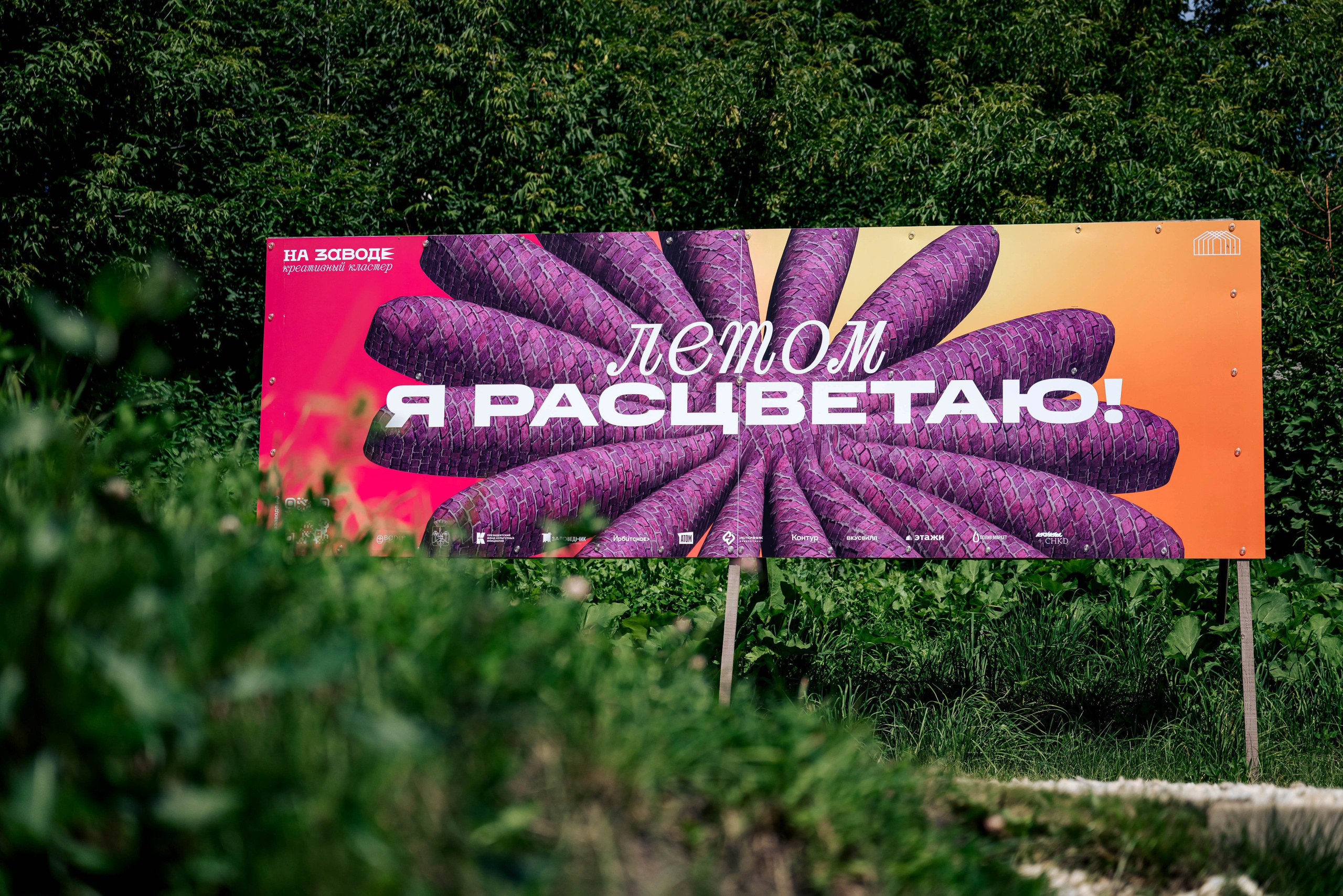 СЕВЕР. Максим Комаров — Профессиональный фотограф