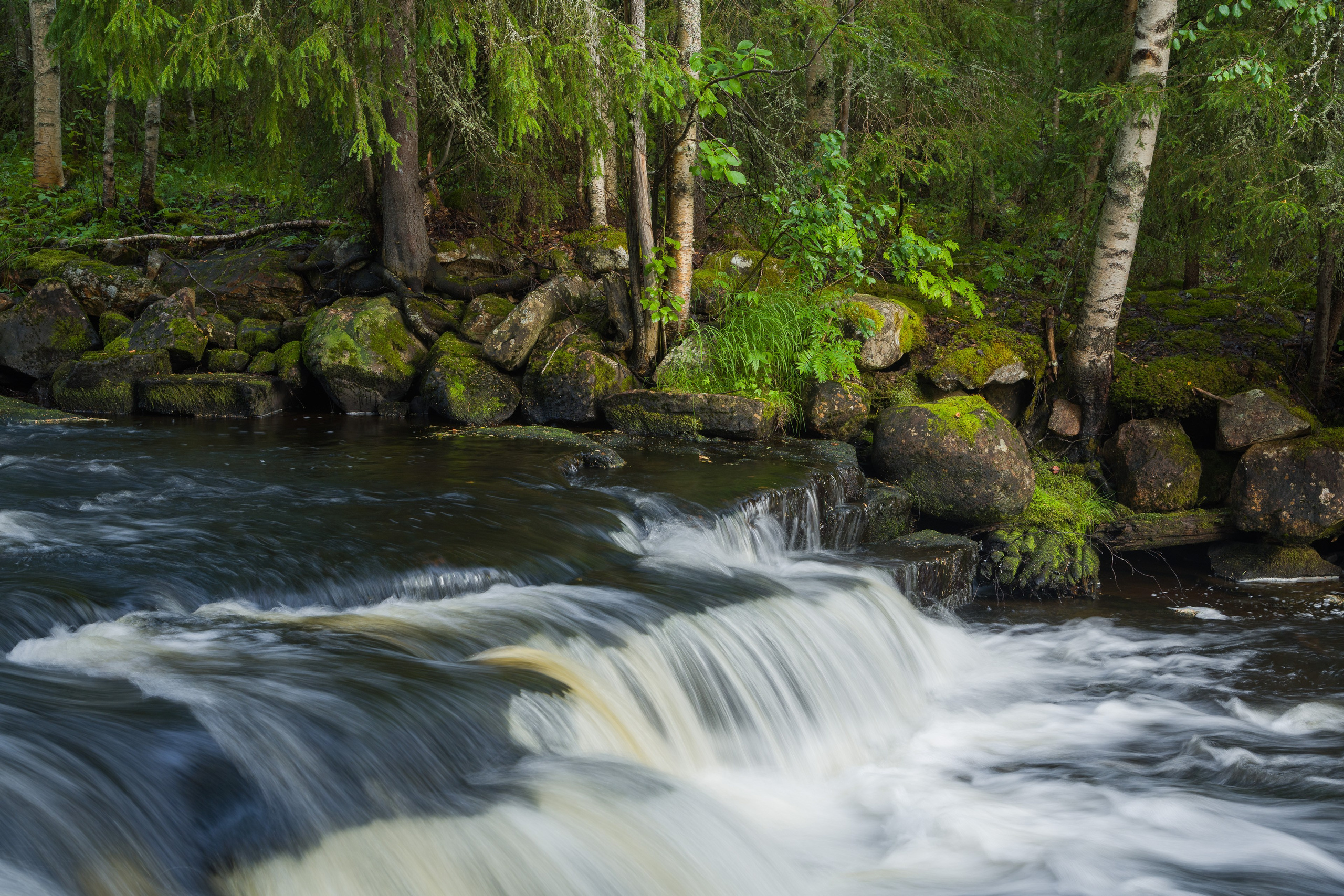 Лето. Северные Ночи