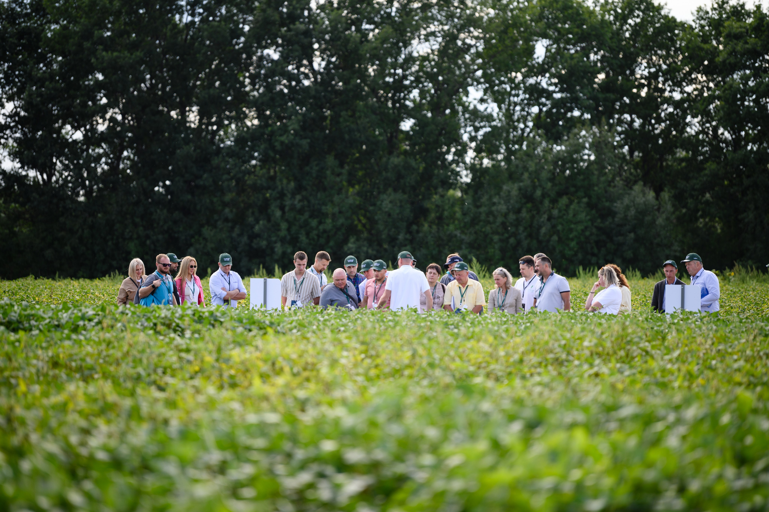 Проекты. Профессиональный фотограф Вячеслав Плацында | Липецк |