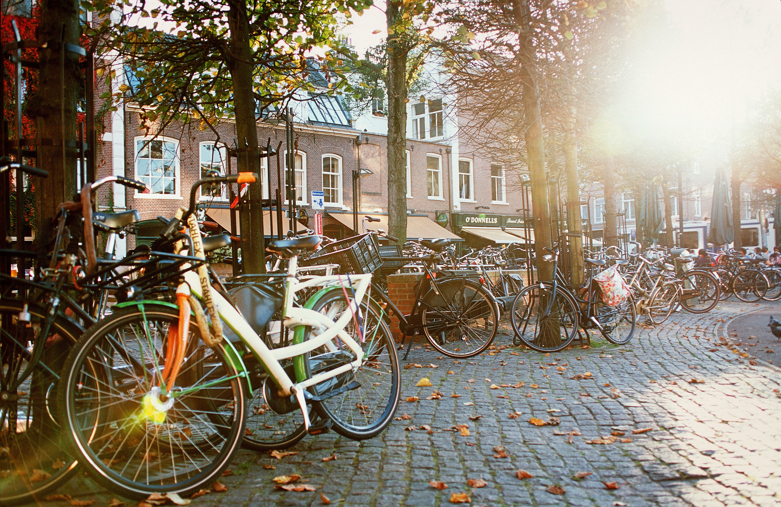 Travel. Фотограф Антон Денисенко: Портрет, Документалистика, Пейзаж. Москва