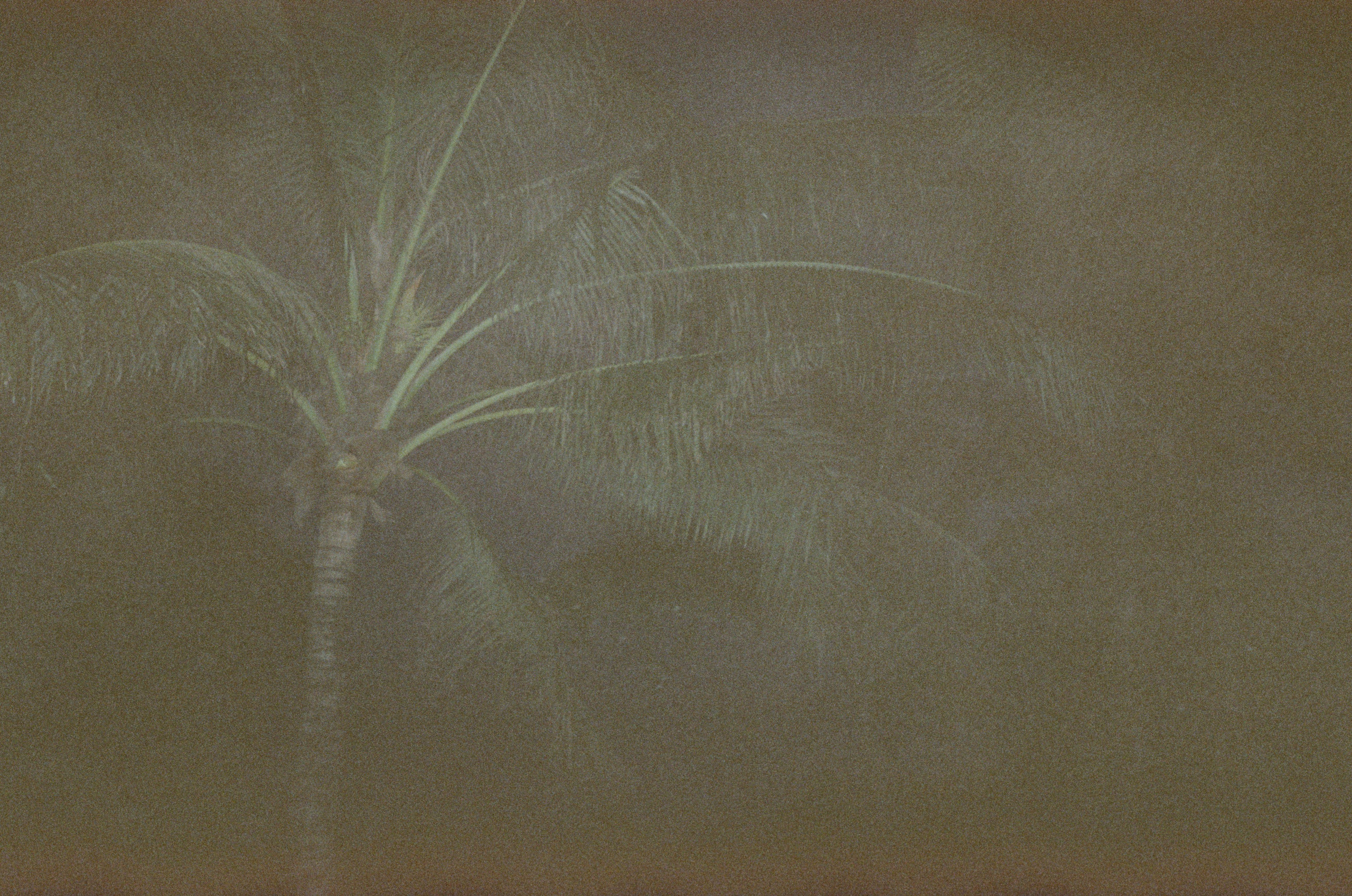 Who u are?. Carolinetru