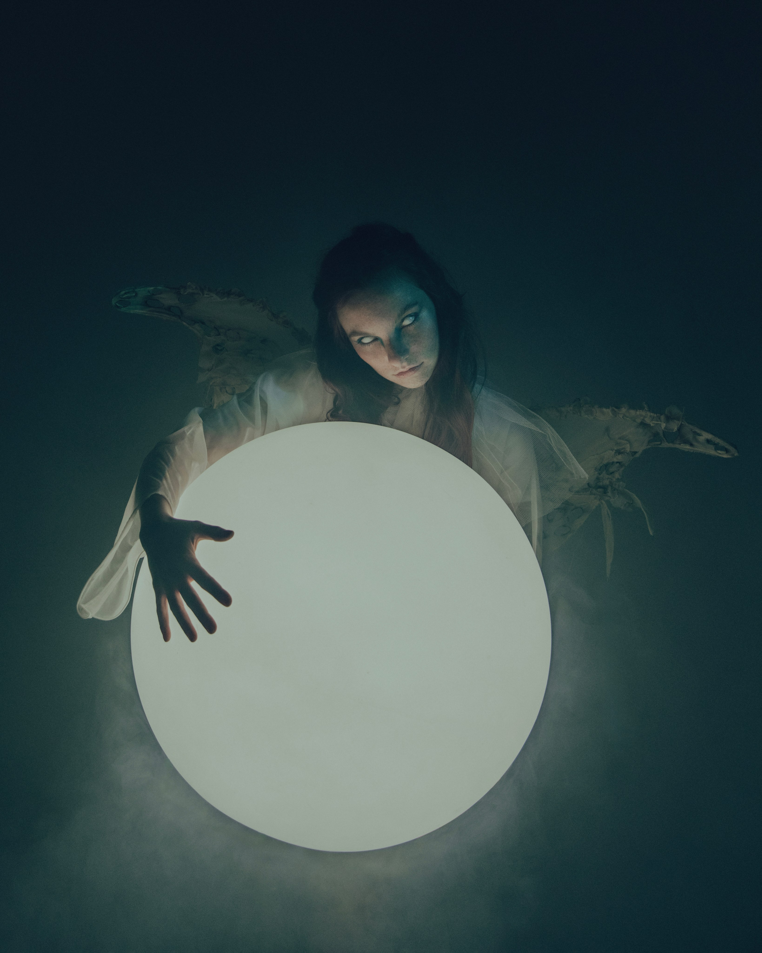Мотылек. Фотограф Anita Mivchas