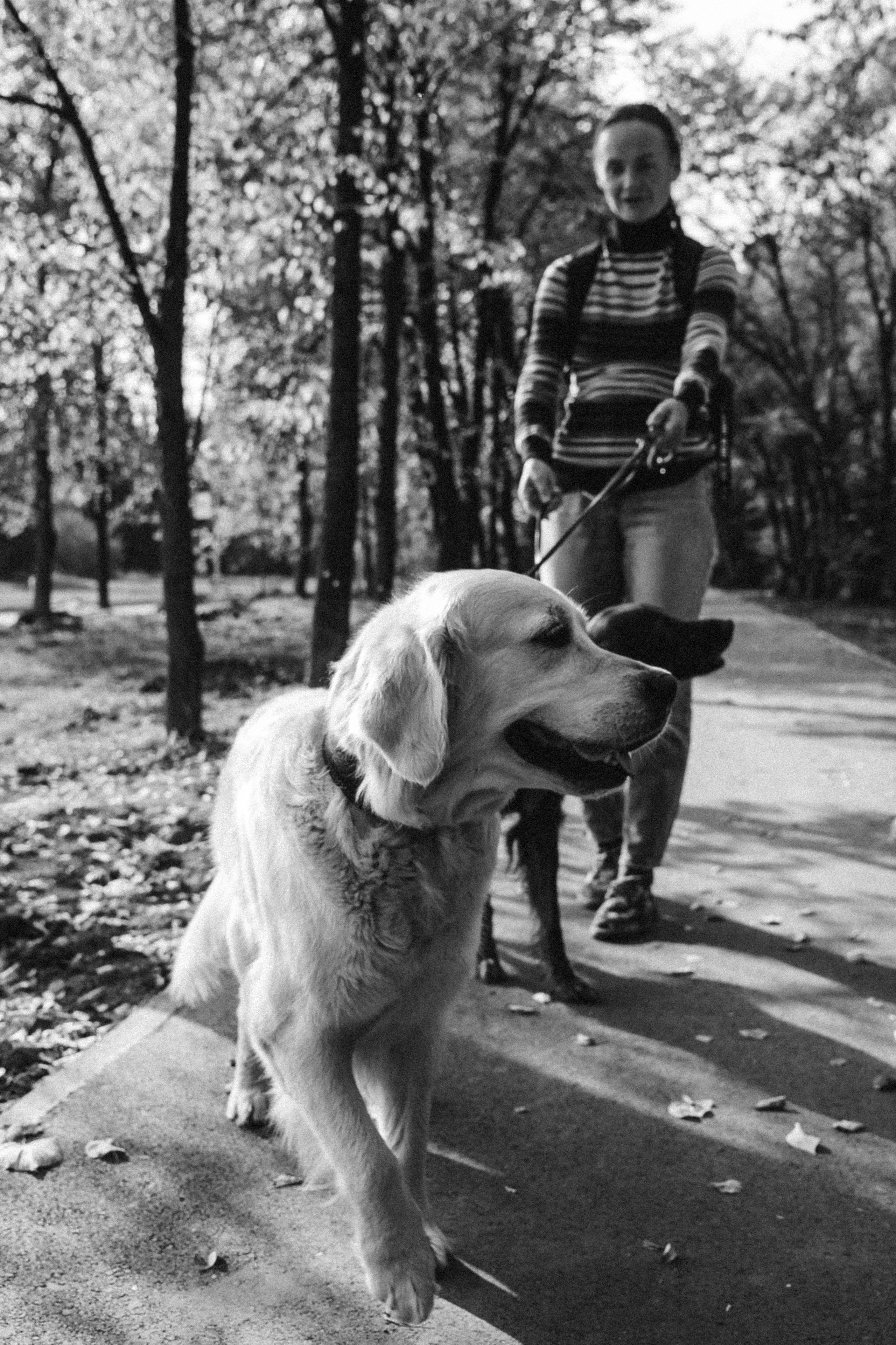 Love story. Фотограф Новосибирск. Фотокарточки на память. Евгения Кудрявцева