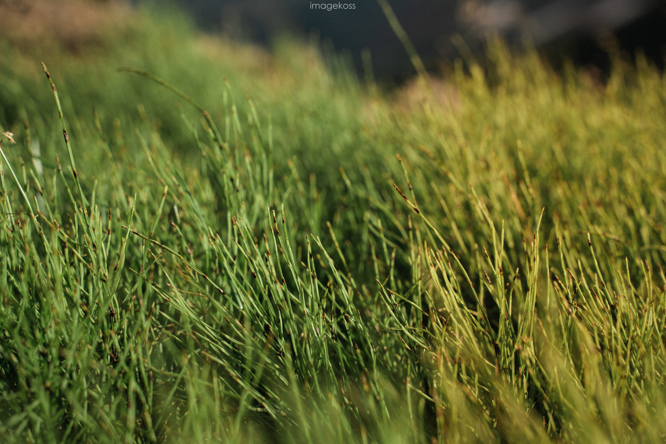 Камчатка. Фотограф в поход и восхождение на Эльбрус Игорь Косарев