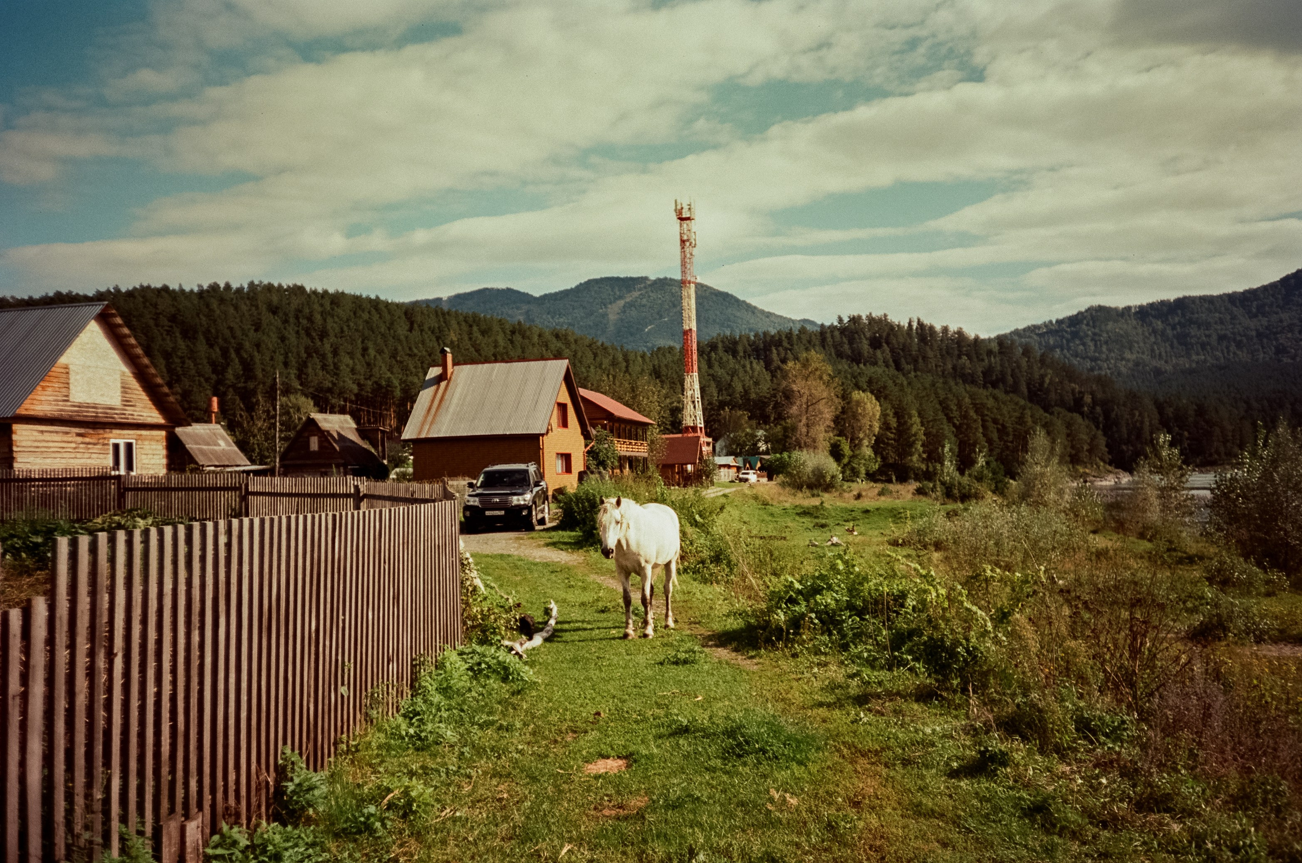 Село Черга в Верхах Алтая. Лошадки в Манжероке и панорамы Катуни. Фотограф-документалист Мария Осокина