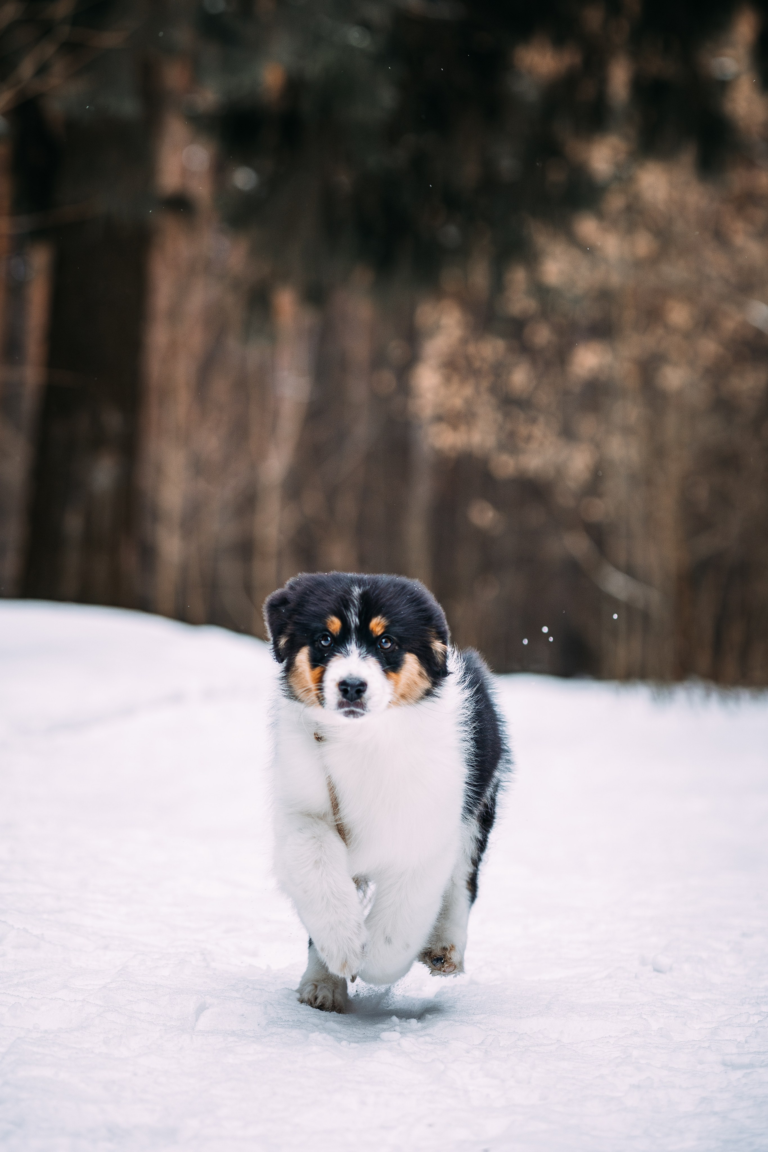 Девочки. Фотограф Яна Матвеева в Ижевске