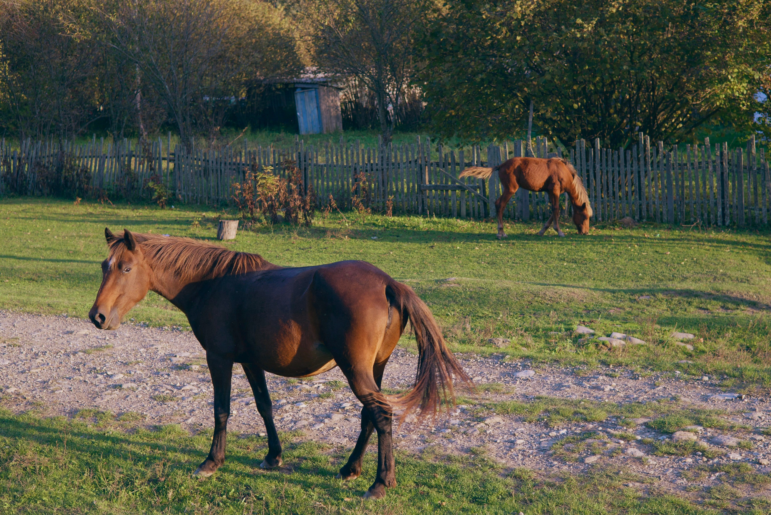 Пейзаж. Фотографии души