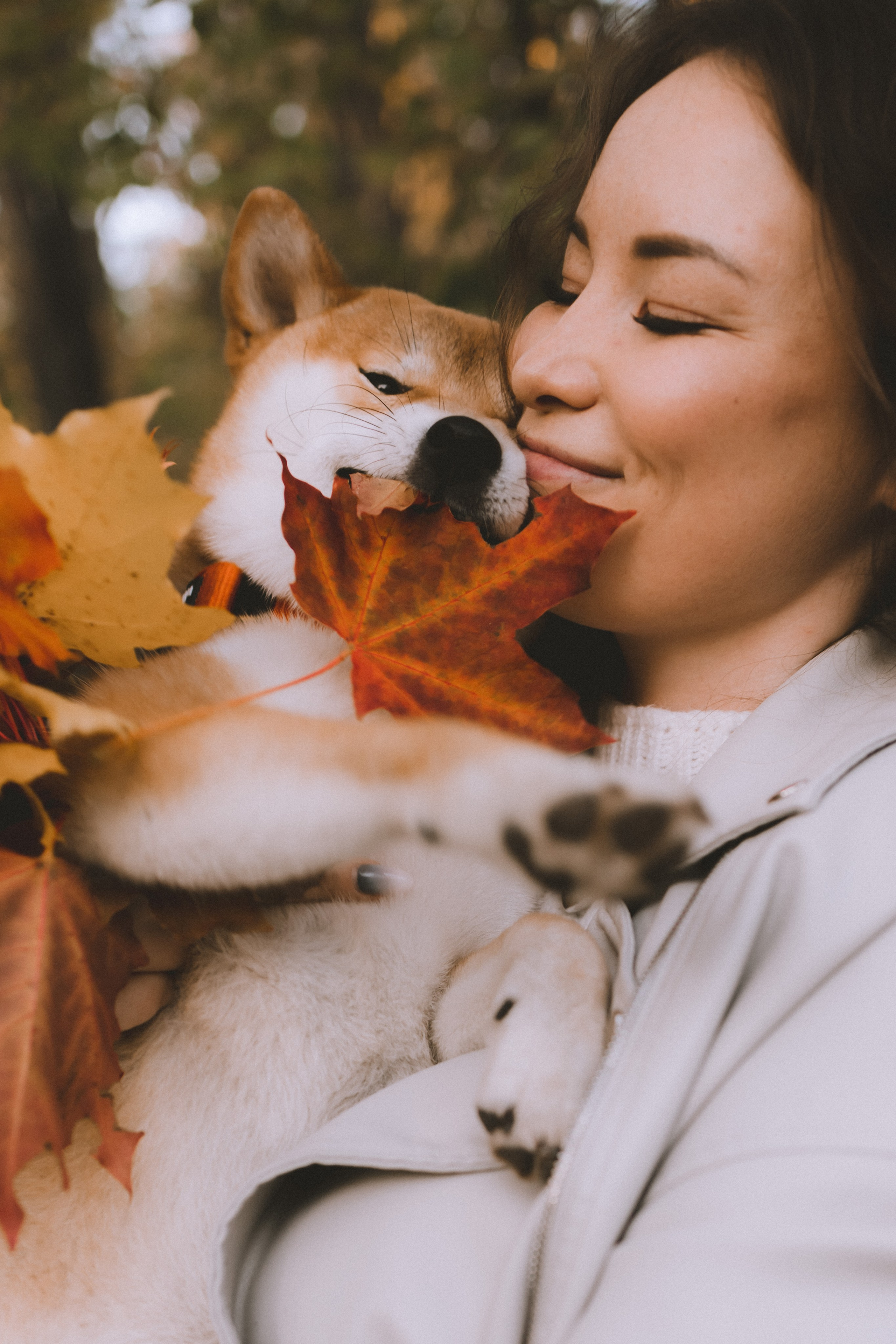 Фотосессия с собакой в осеннем Дудергофе. Семейный и детский фотограф в Санкт-Петербурге Павлова Елена
