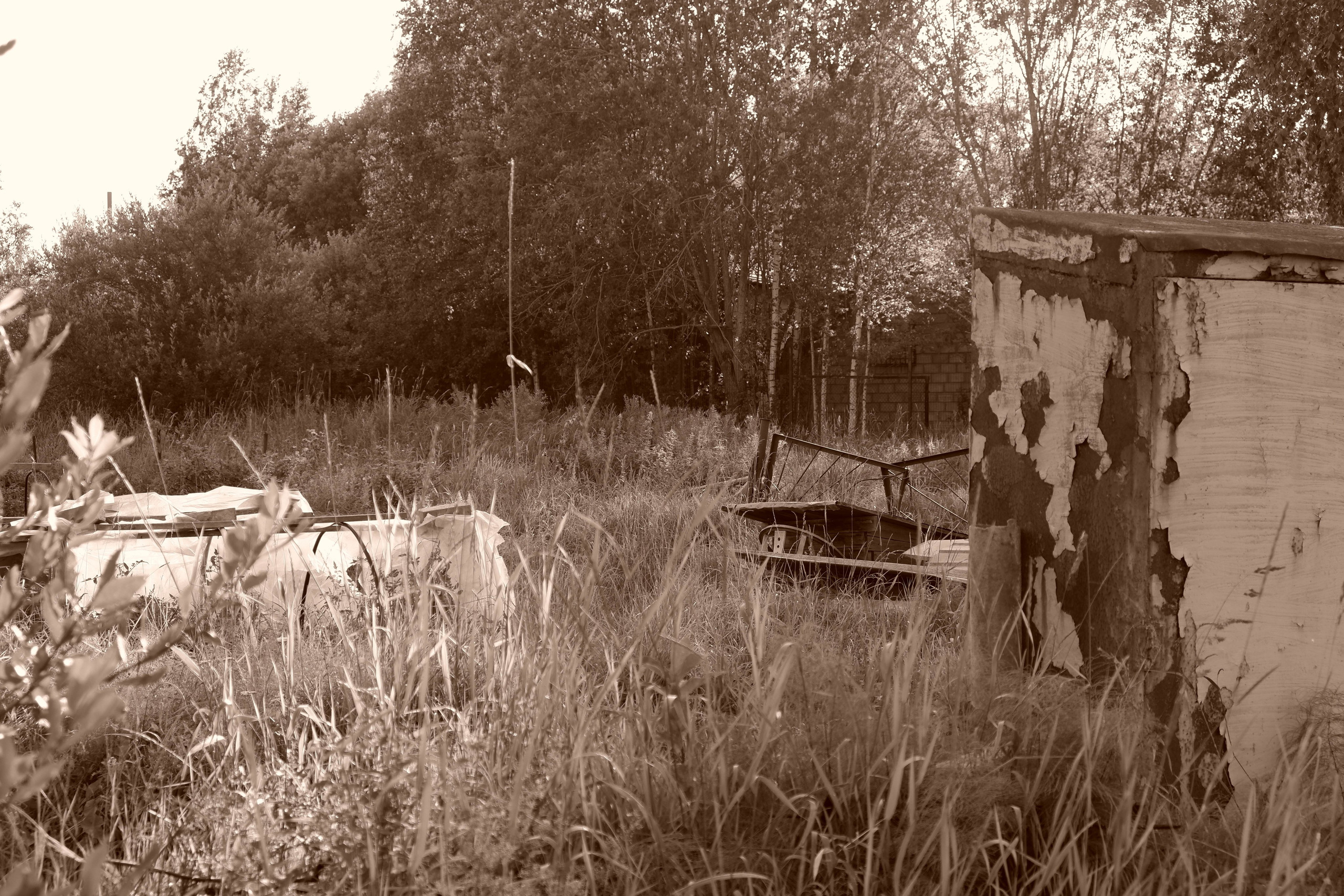 Проверка вечности. Фотограф | Александр Очковский