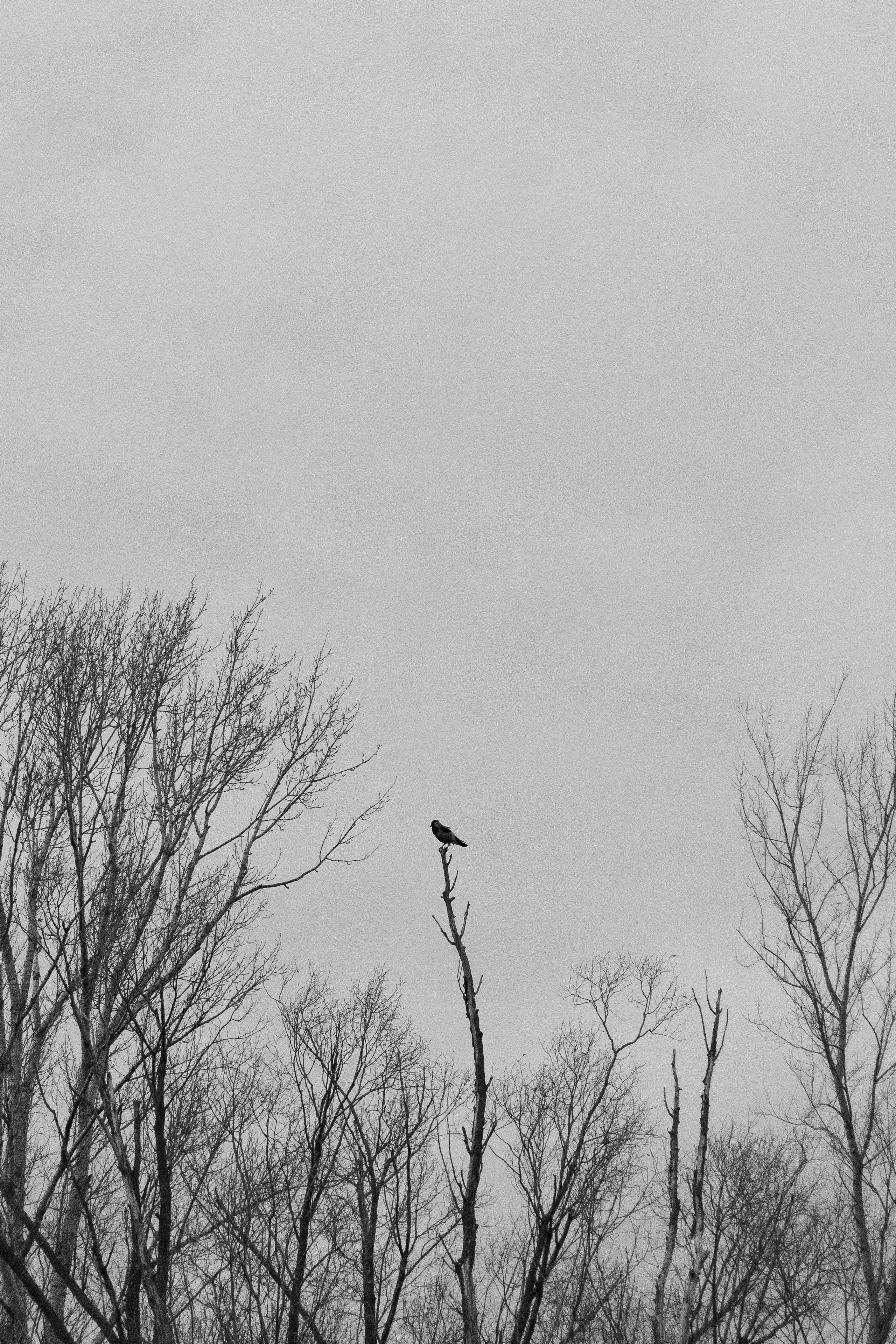 О себе. Фотограф Наталья Мершина