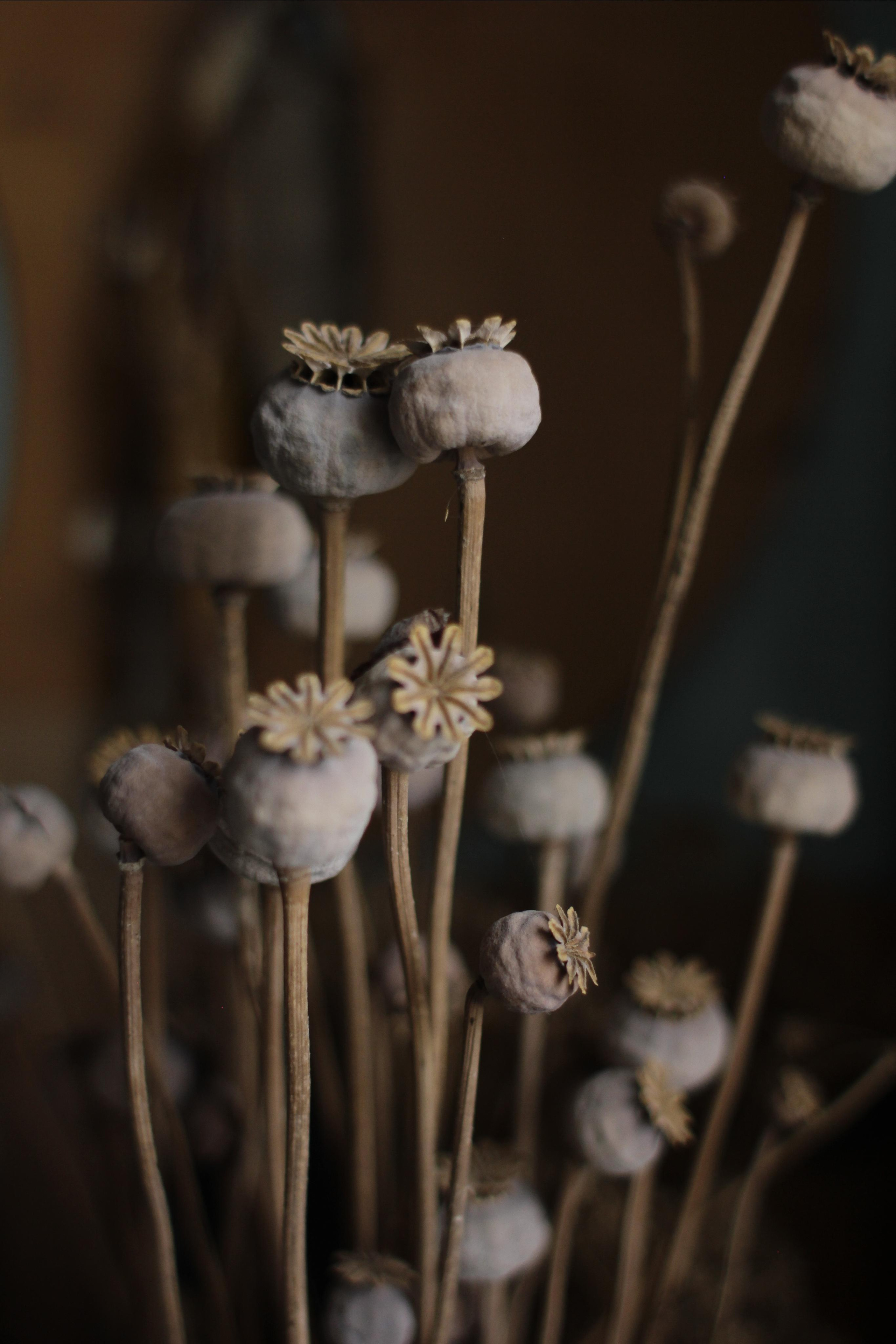 Художник Юрий Антонович Рыбьяков, 2019. Фотограф в Тюмени Даша Михнова. Портреты, фотопроекты, фотодни