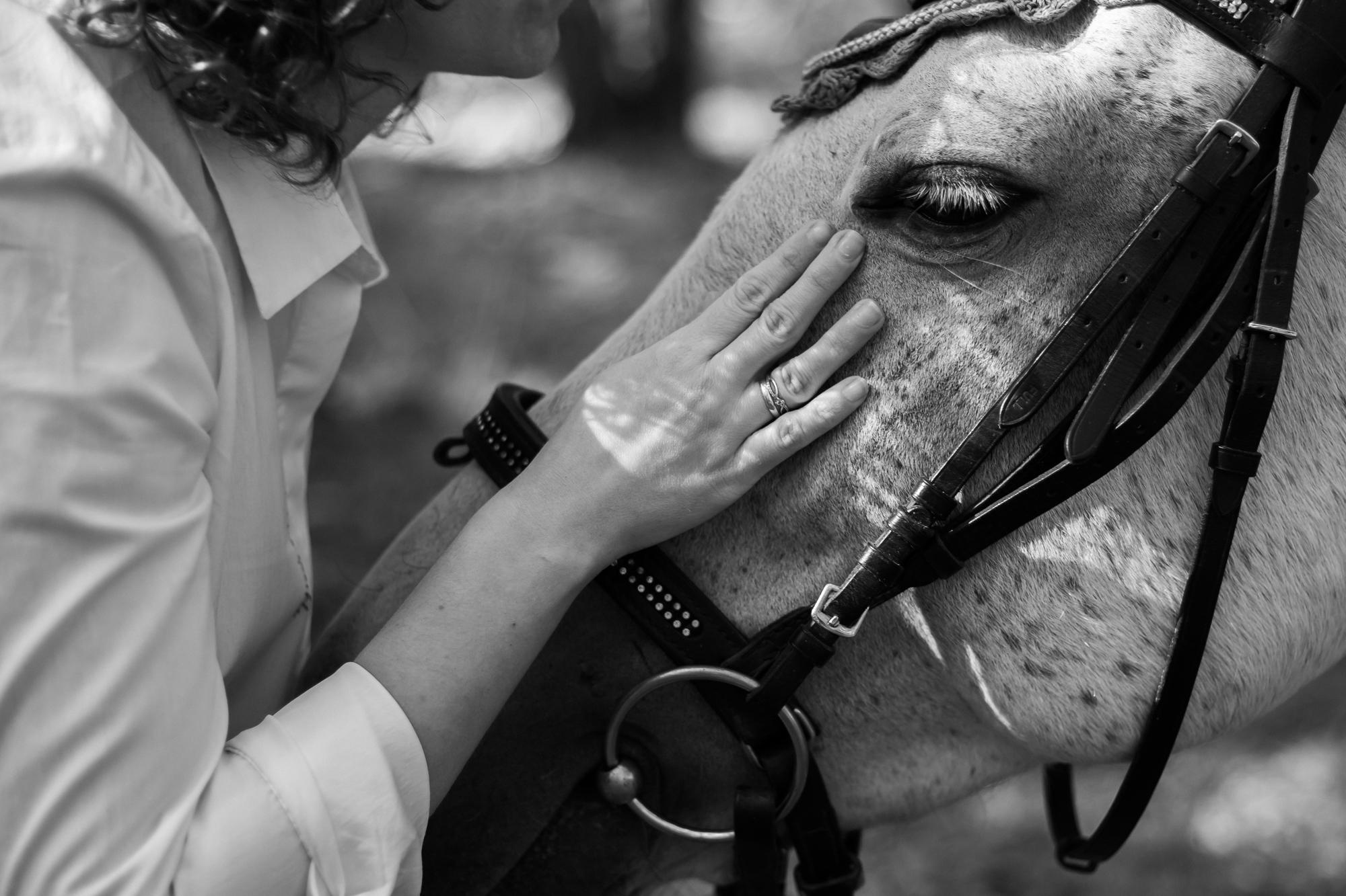 С лошадкой в лесу. Фотограф в Тюмени Даша Михнова. Портреты, фотопроекты, фотодни