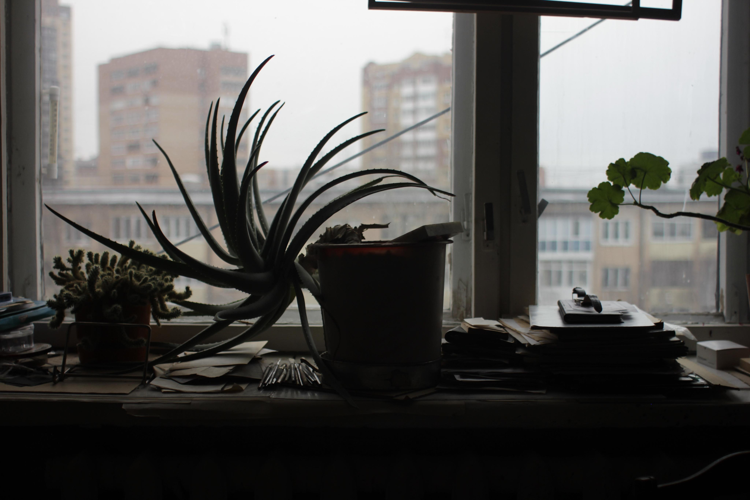 Художник Юрий Антонович Рыбьяков, 2019. Фотограф в Тюмени Даша Михнова. Портреты, фотопроекты, фотодни